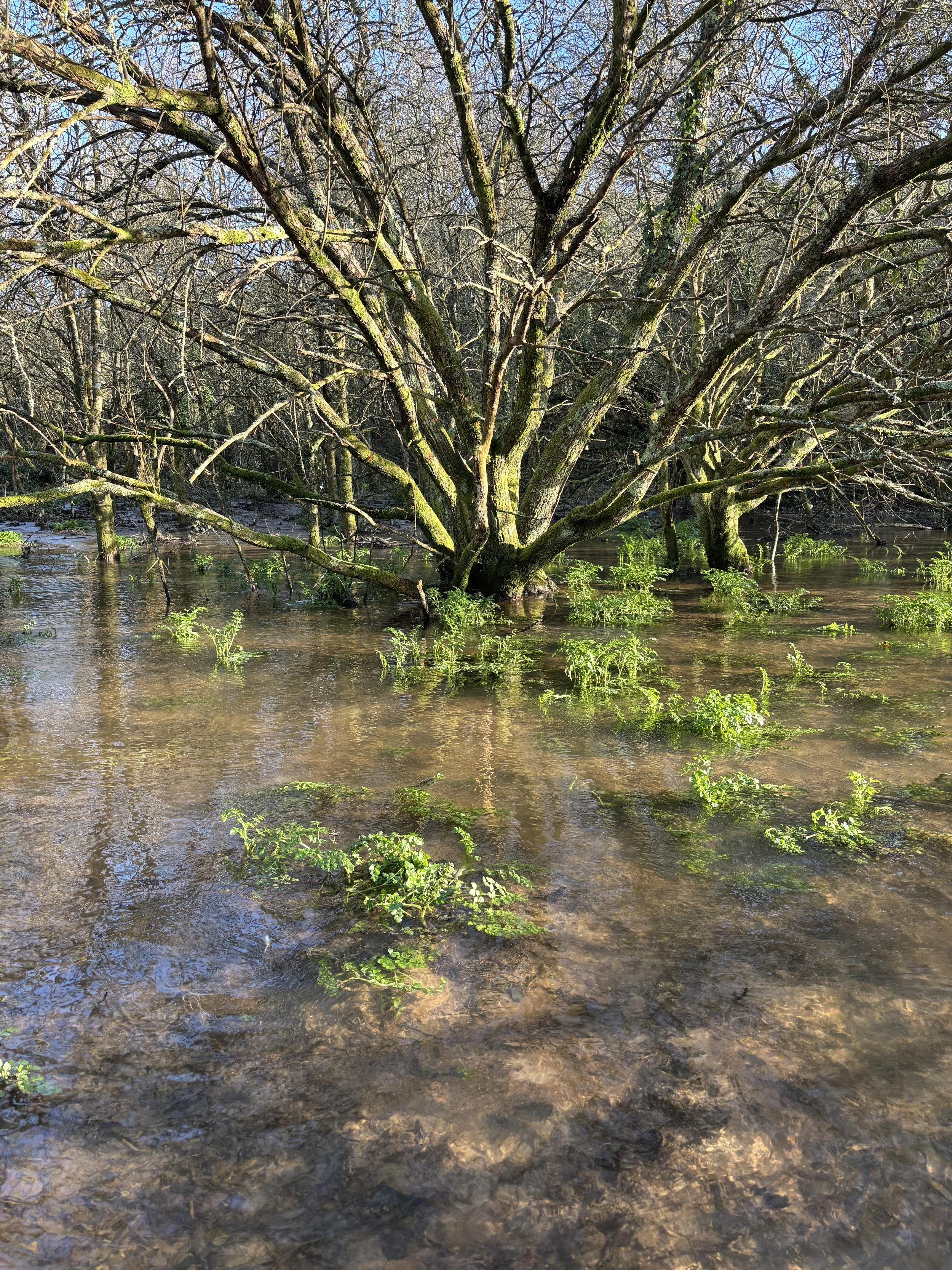 Avon Valley, Danielle Semple