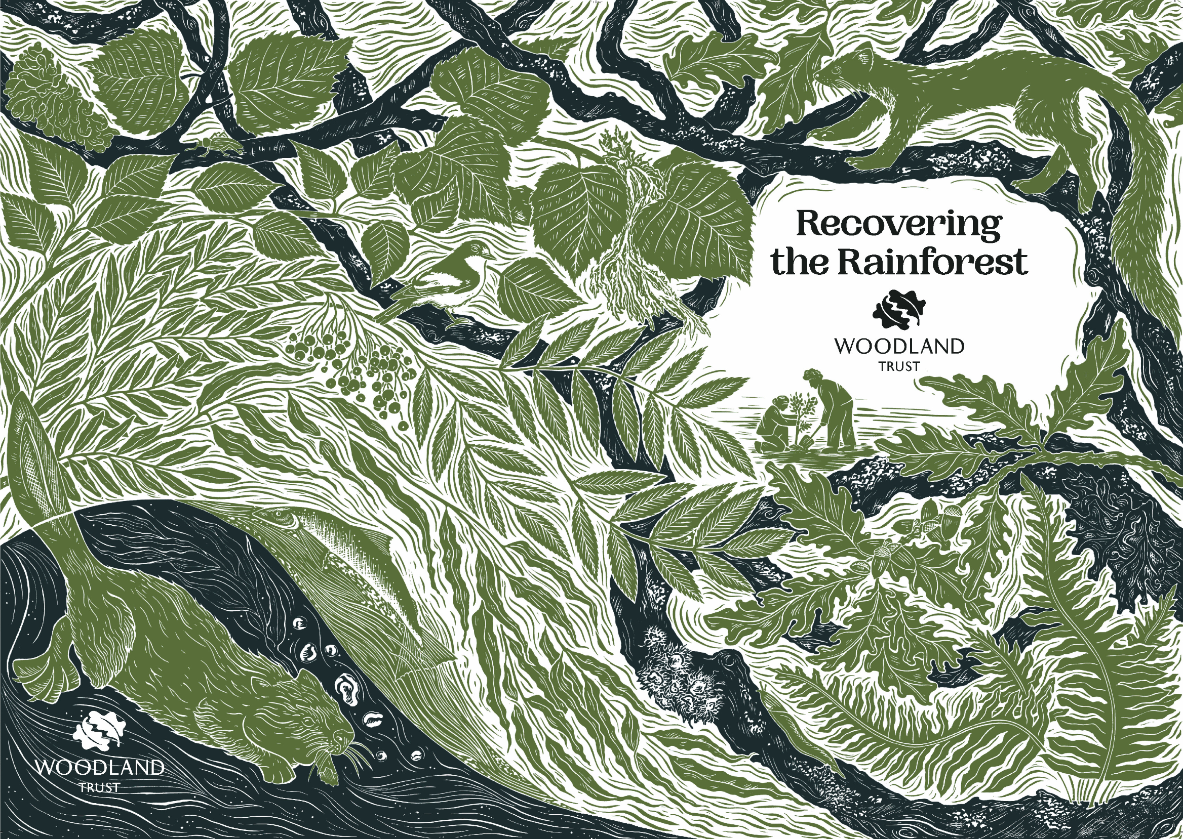 Recovering the rainforest magazine