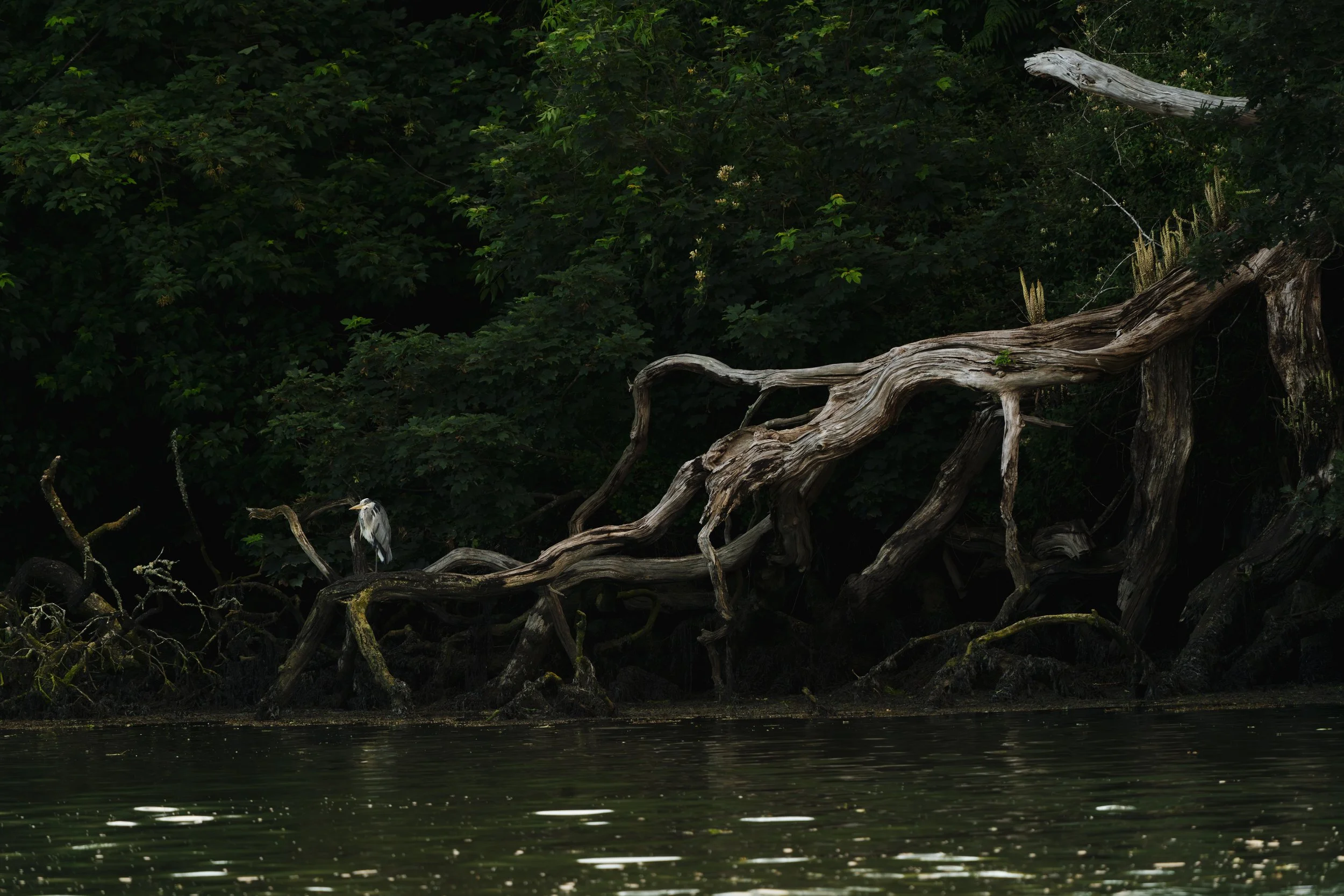 The Helford Flowscape. Credit: Jasper Abel