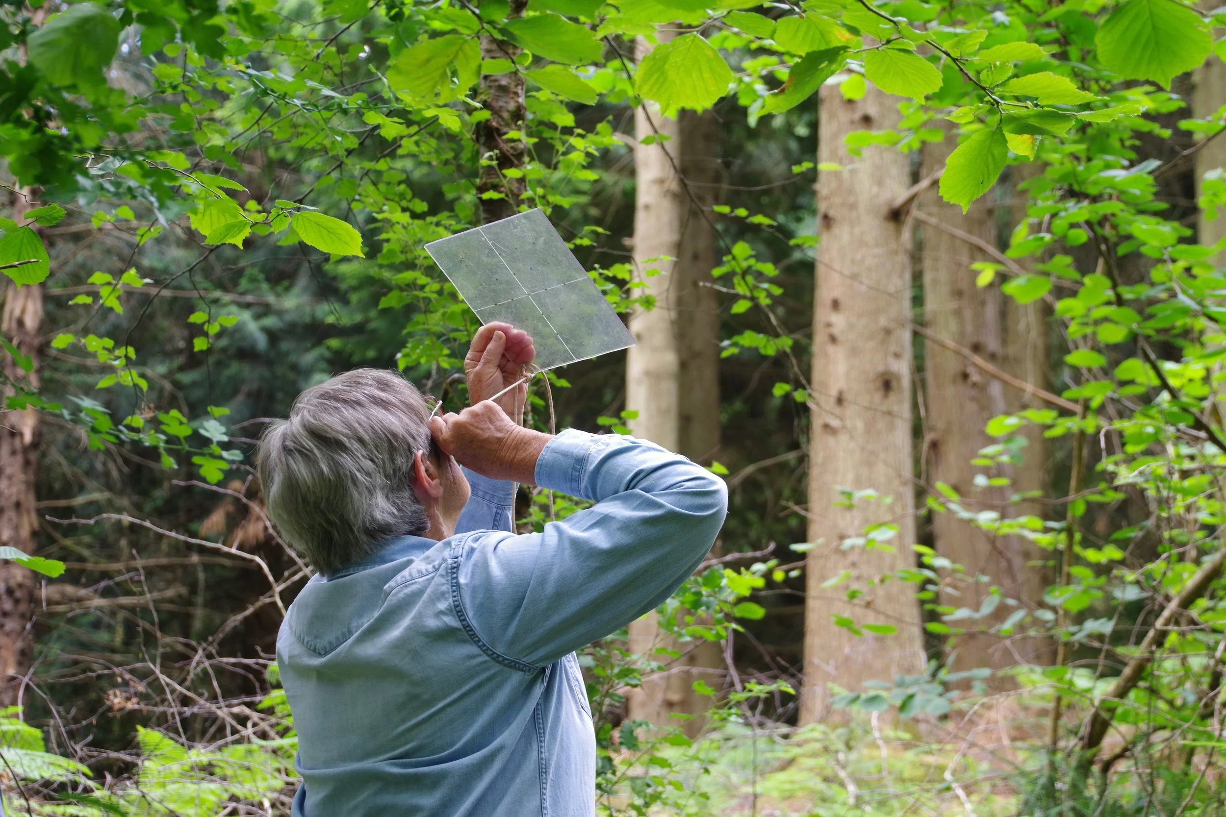 Measuring the light.JPG
