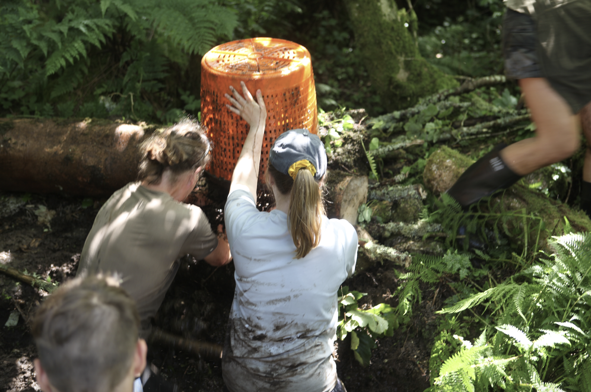 Flowscape Action volunteers building a leaky dam. Credit: Heron Lewis.png