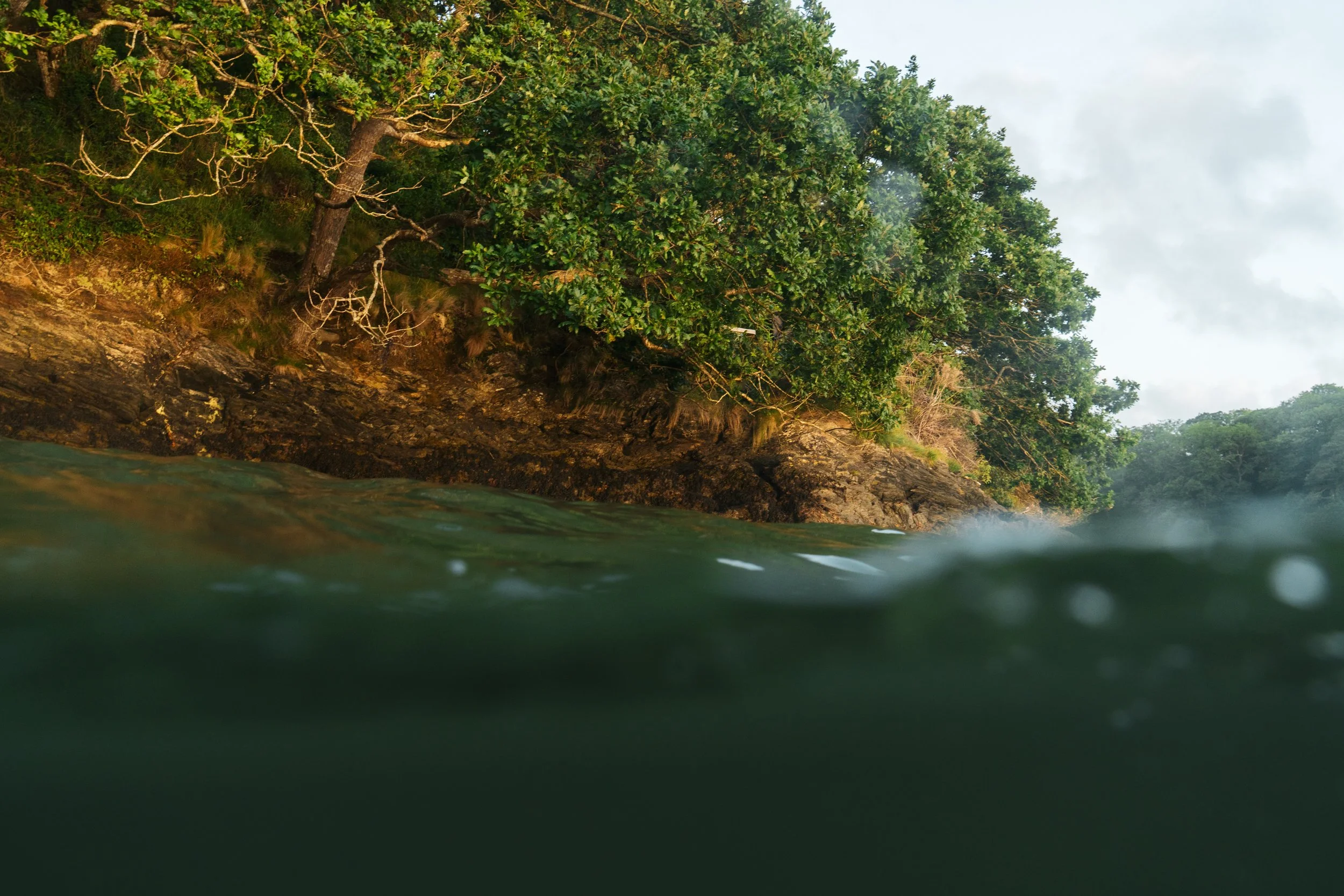 The Helford Flowscape. Credit: Jasper Abel and PlantOne.jpg