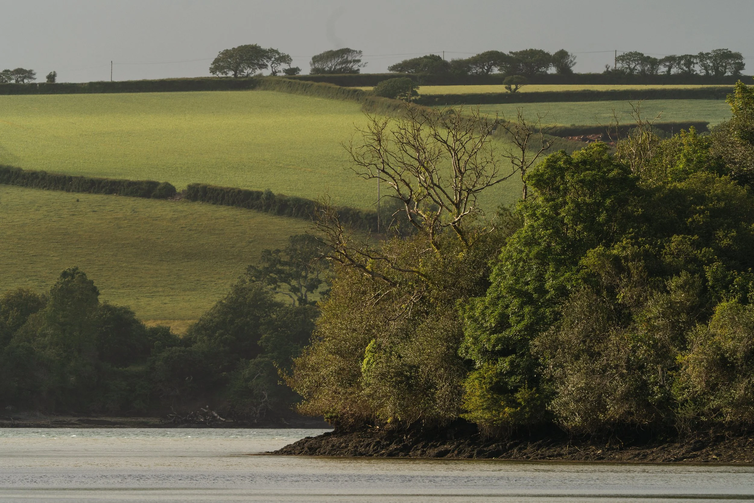 The Helford Flowscape. Credit Jasper Abel and PlantOne.jpg