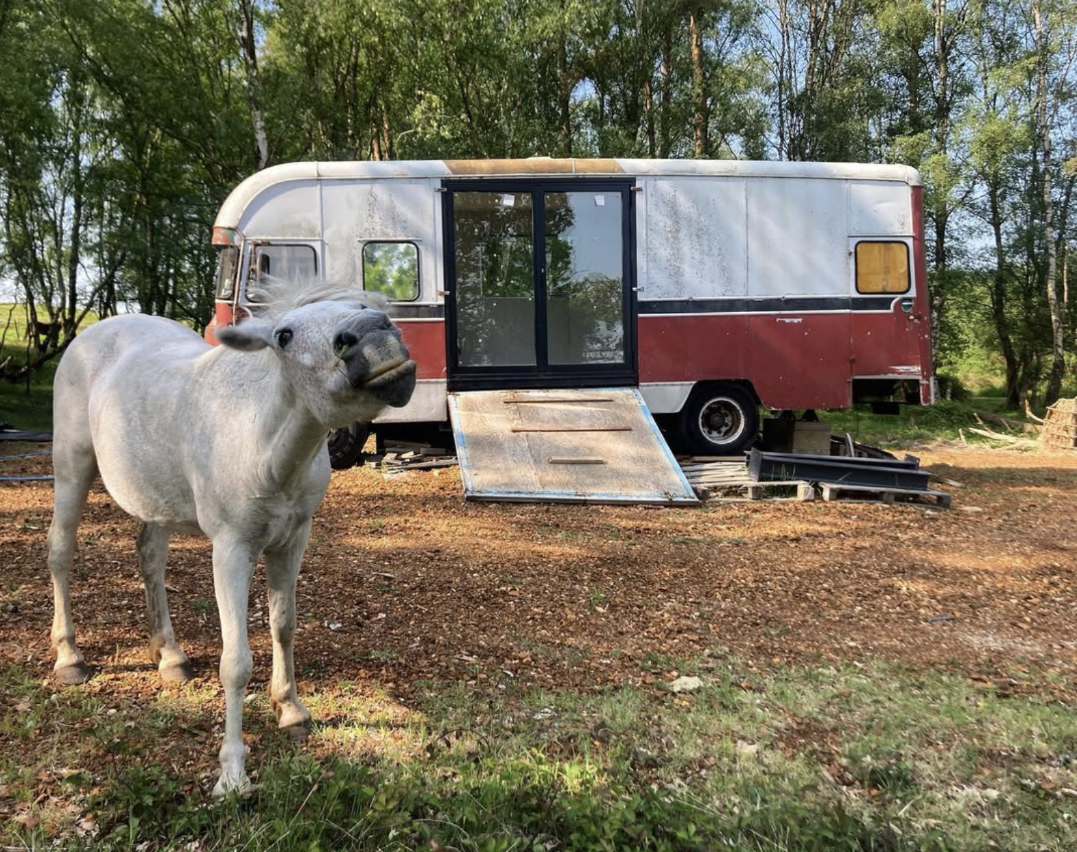 Commer