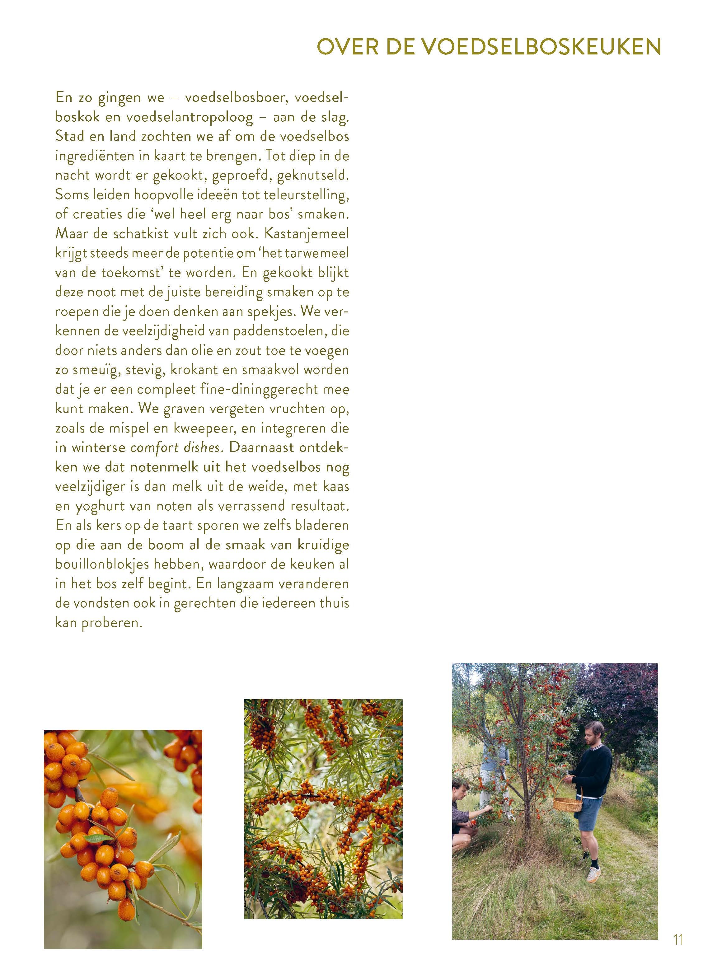 inkijkexemplaar_Pagina_11.jpg