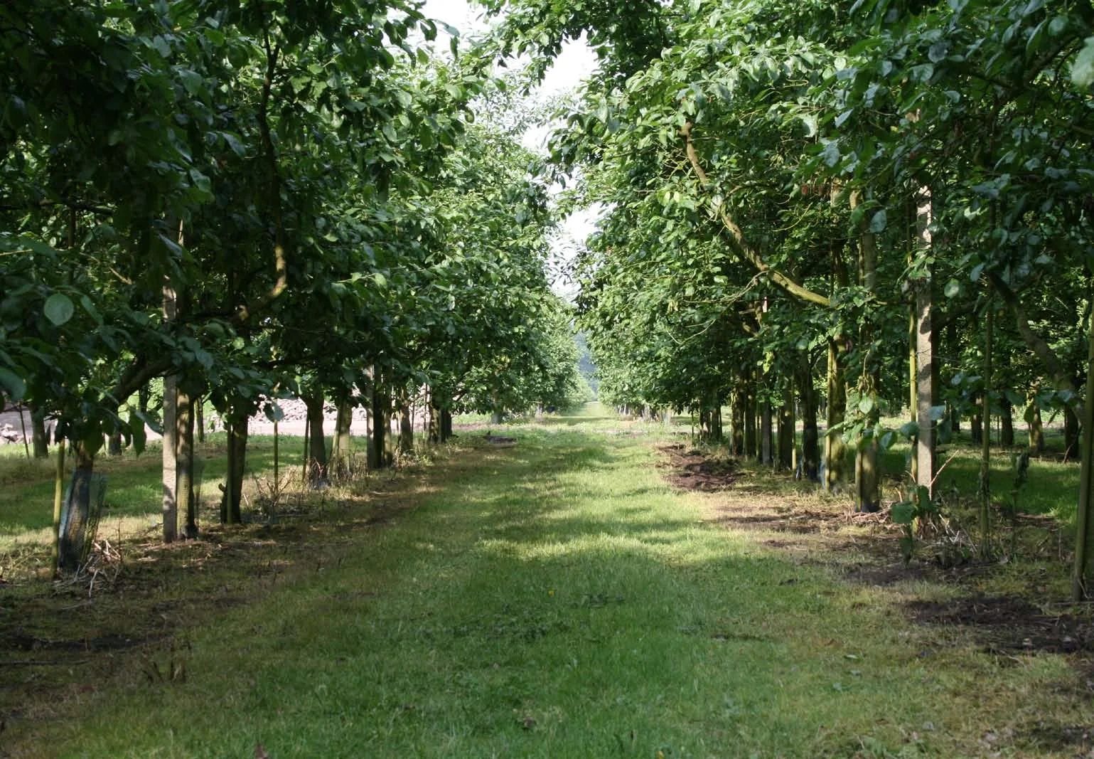 pagina 48-53_74-77_Pagina_3.jpg