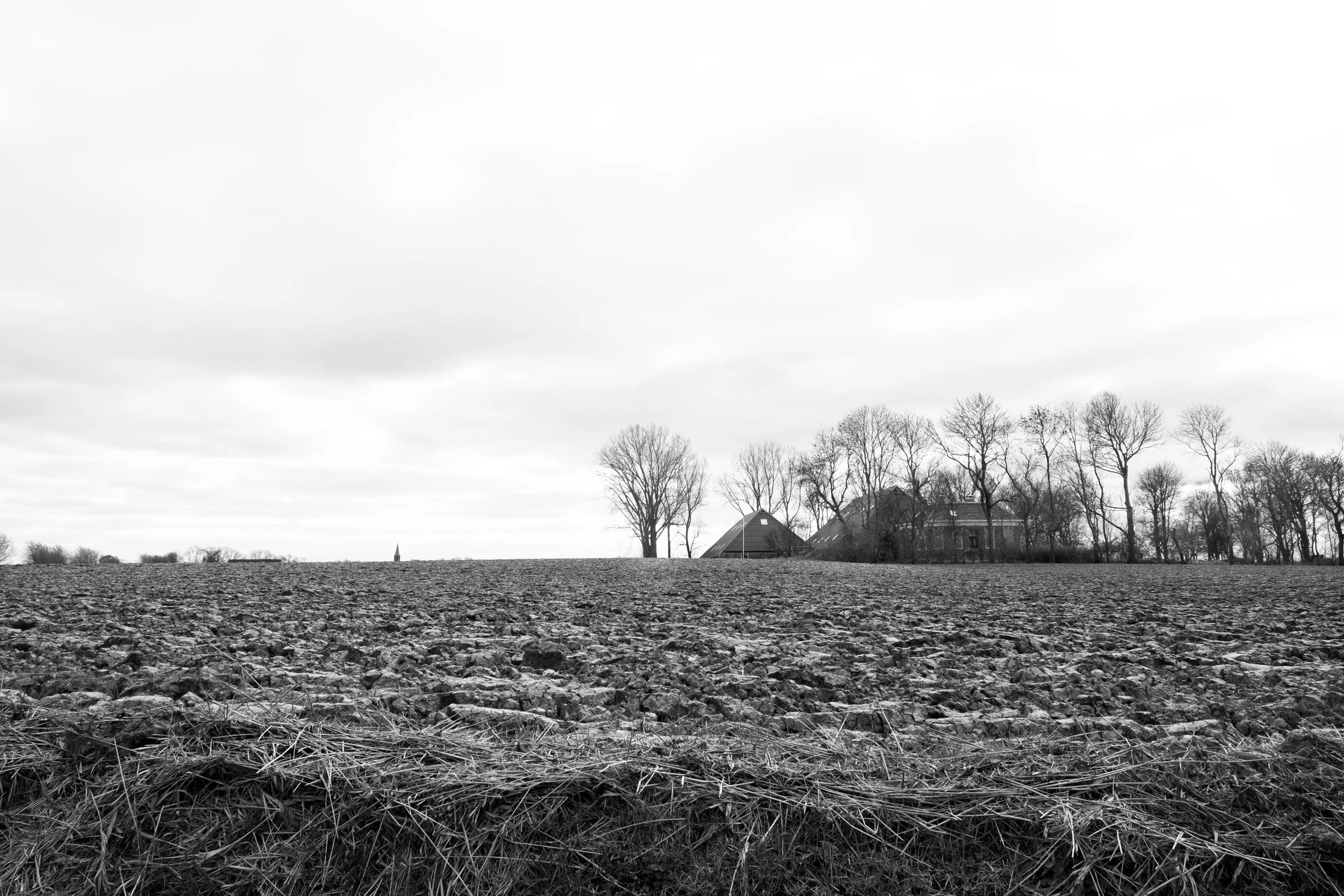 Eelswerd