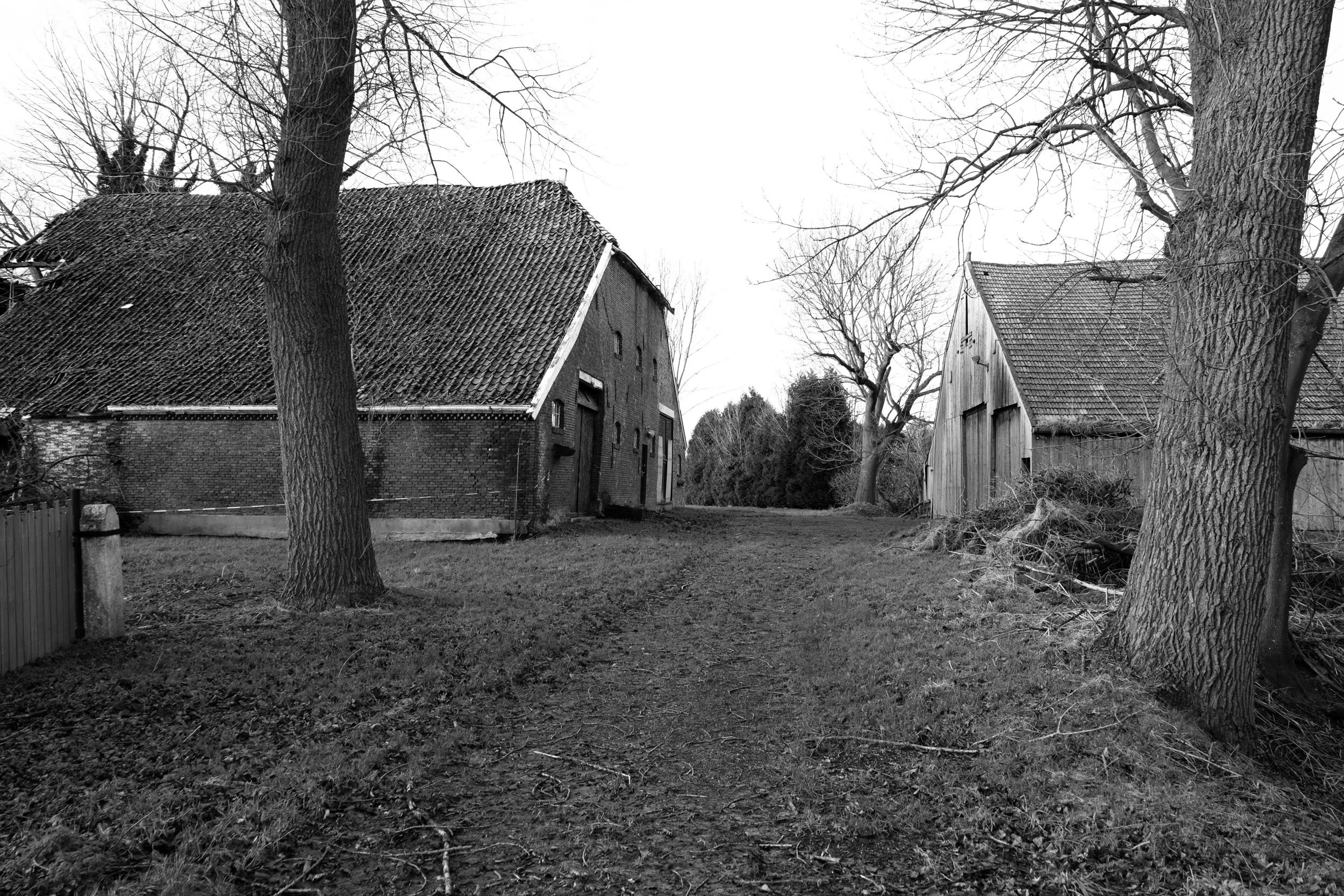 Hamdijk