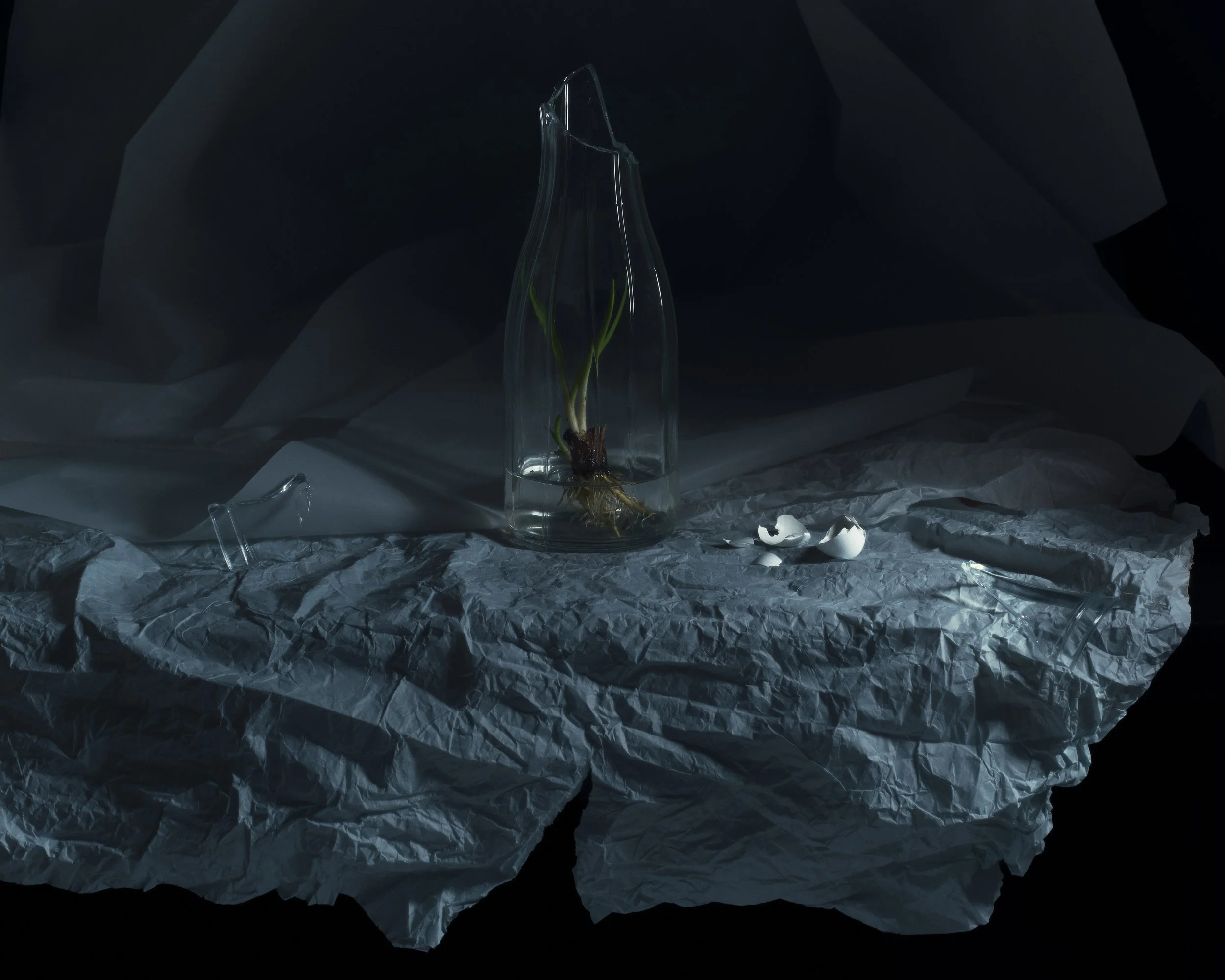 Second vanitas project (1/7)