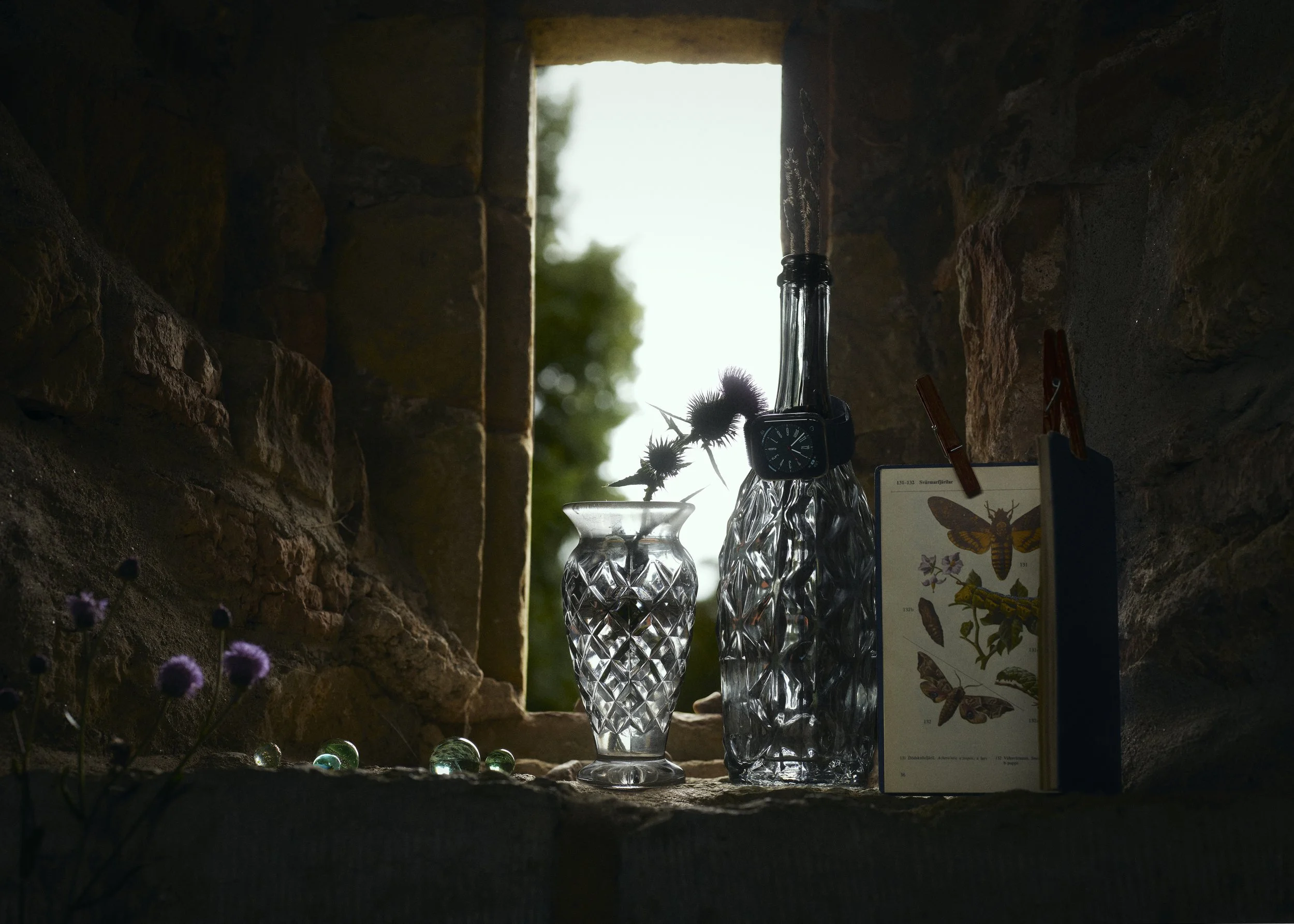 First vanitas project (4/4),
Still life in the ruin of Biskopsborgen in Husaby, Götene