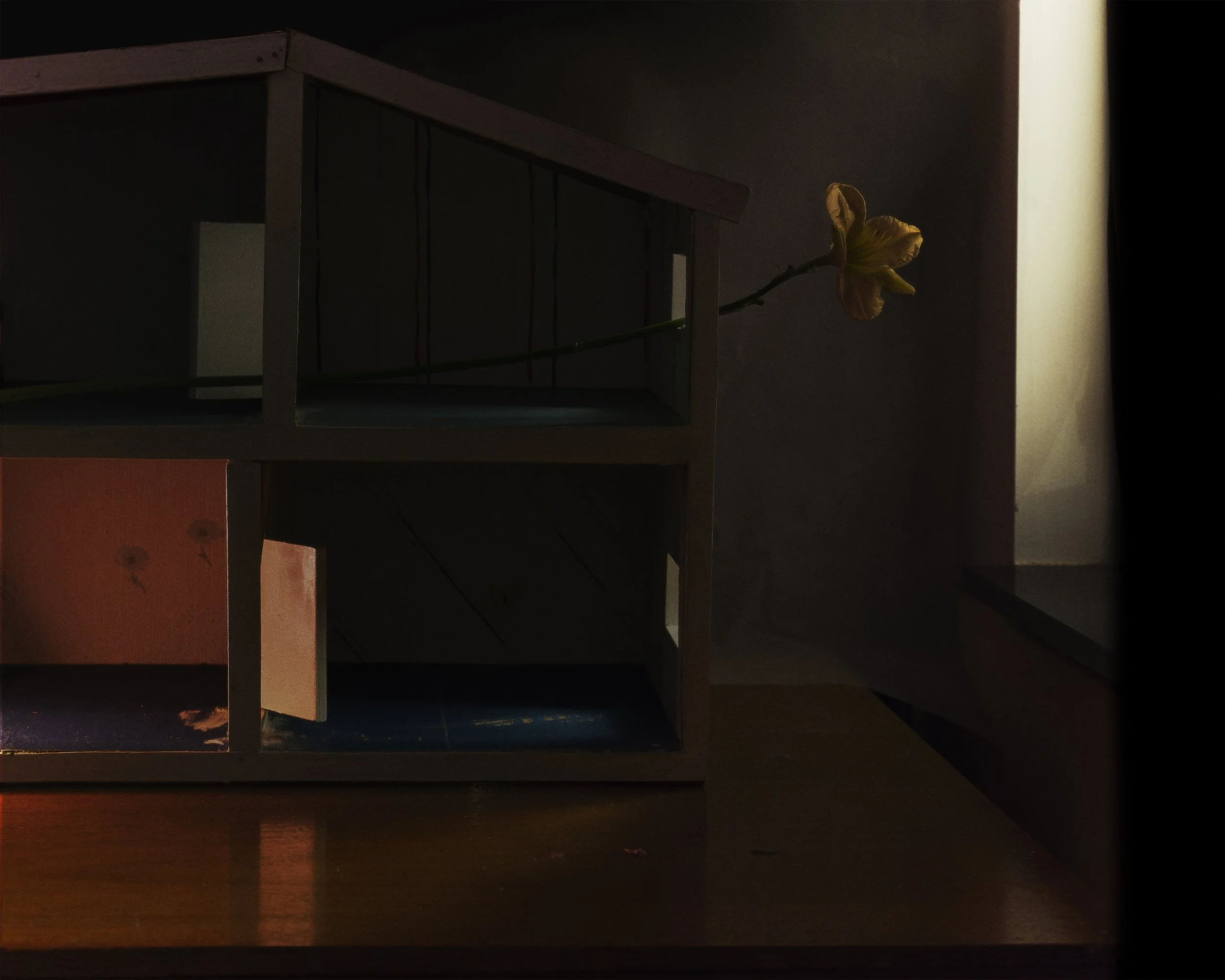 Second vanitas project (6/7)