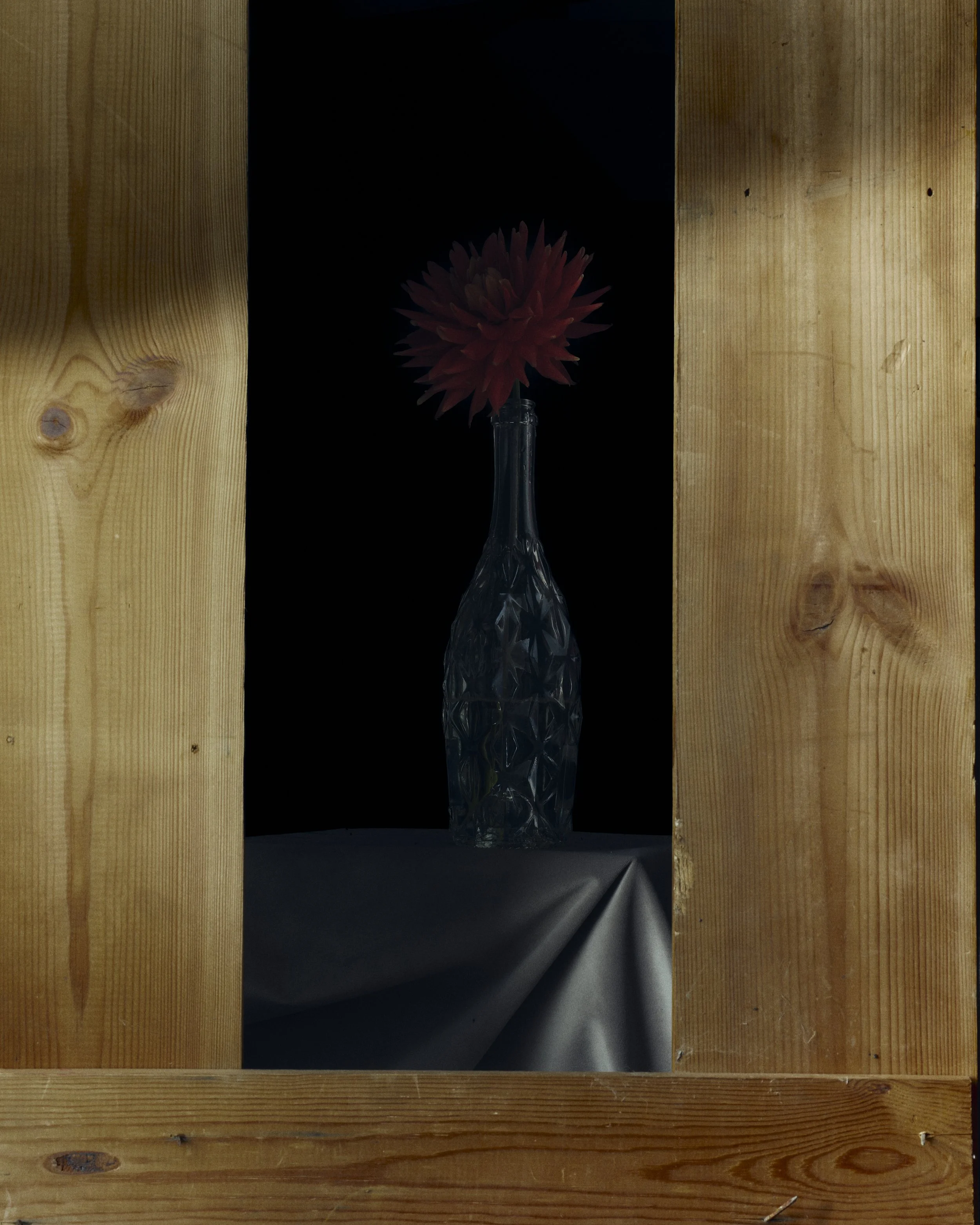 Second vanitas project (2/7)