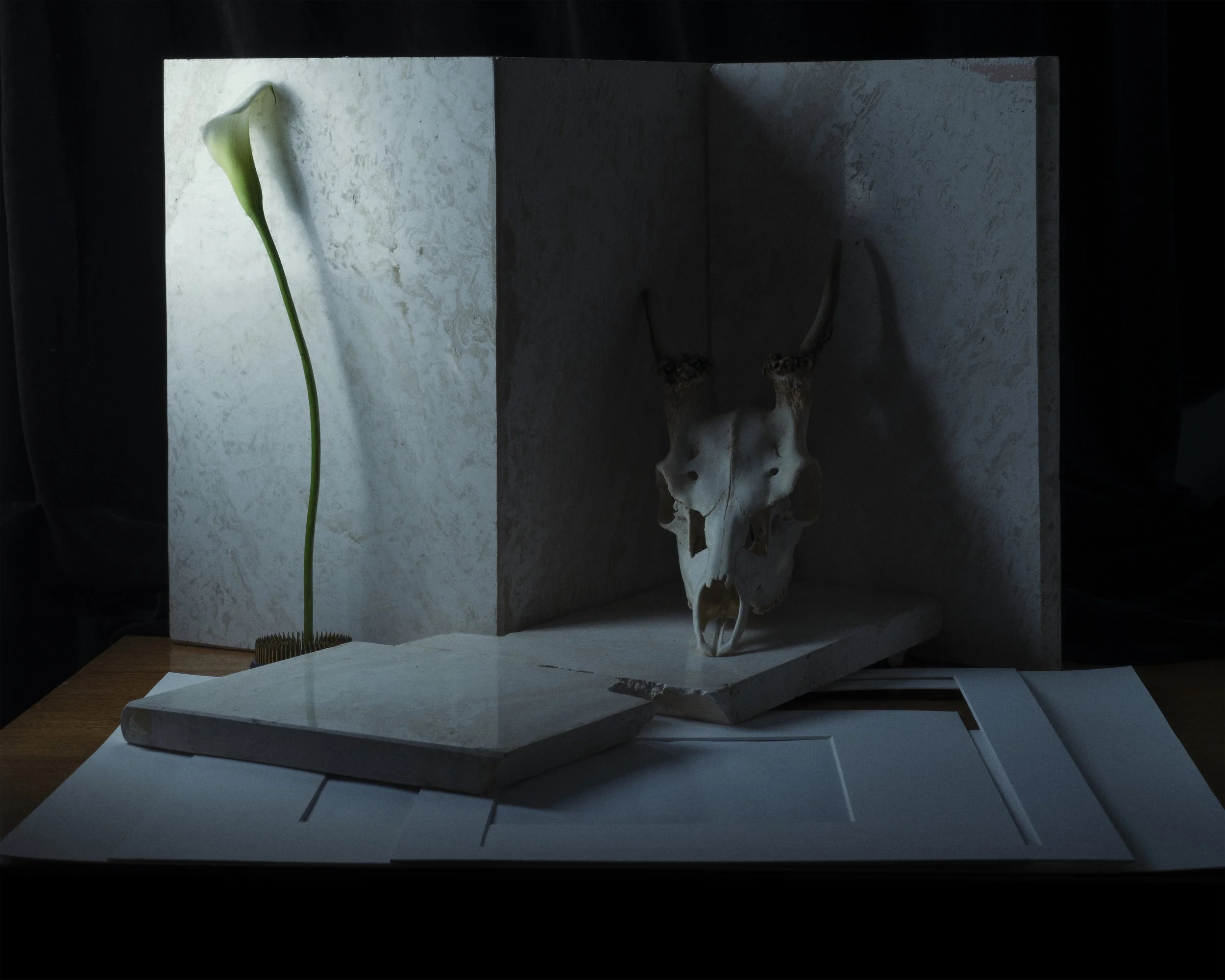 Second vanitas project (3/7)