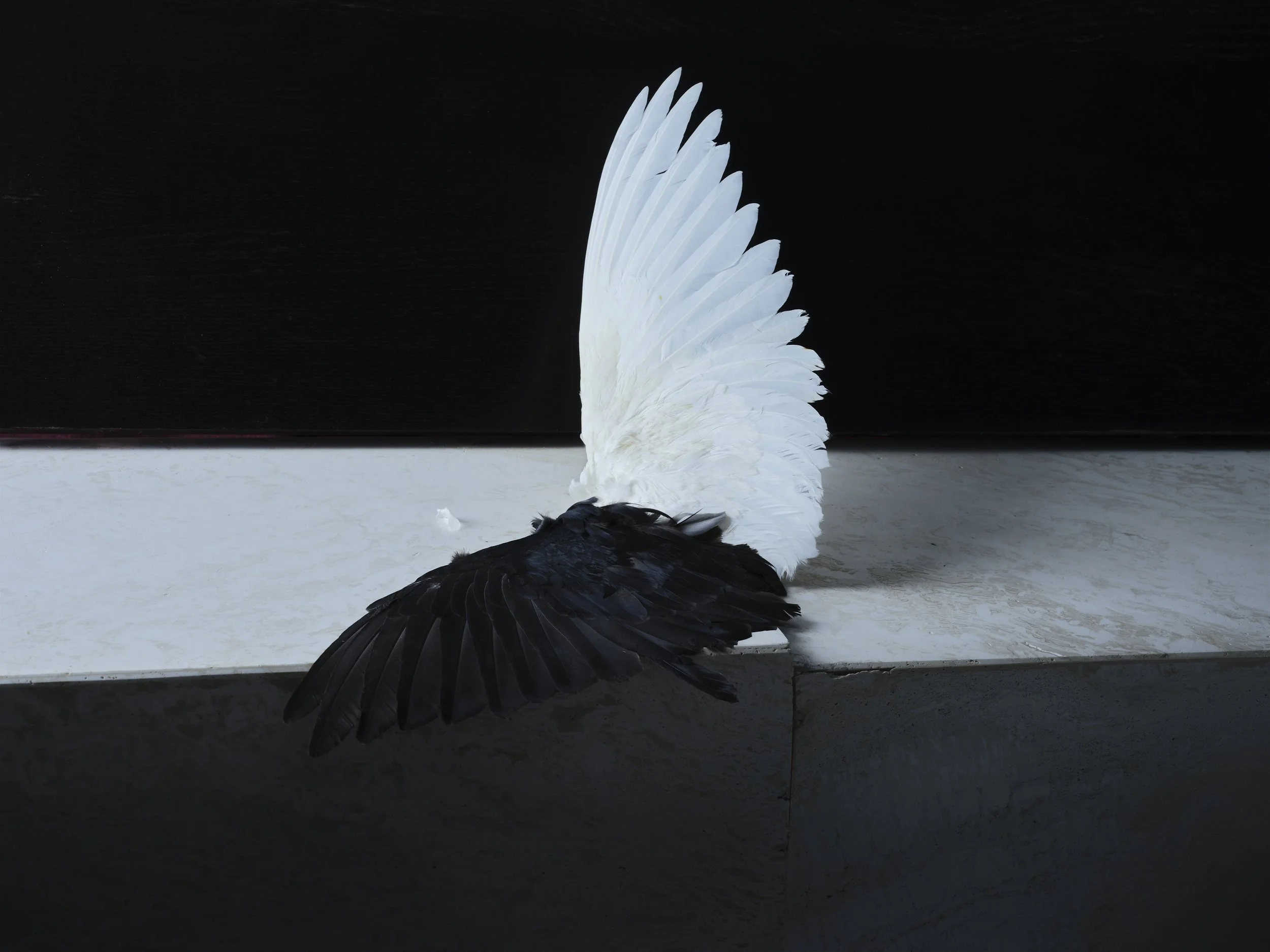 Still life (#1)