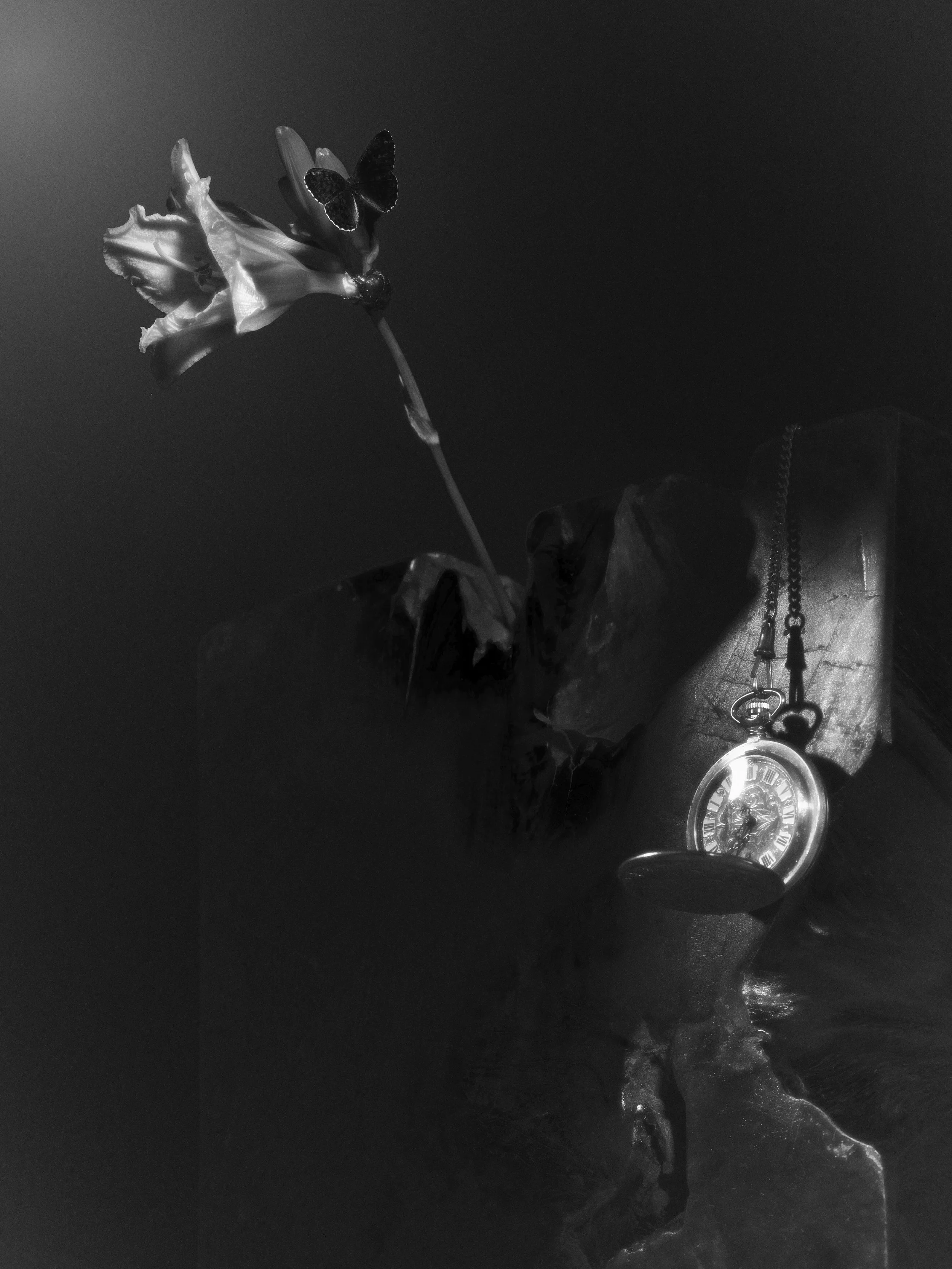 Still life, #2