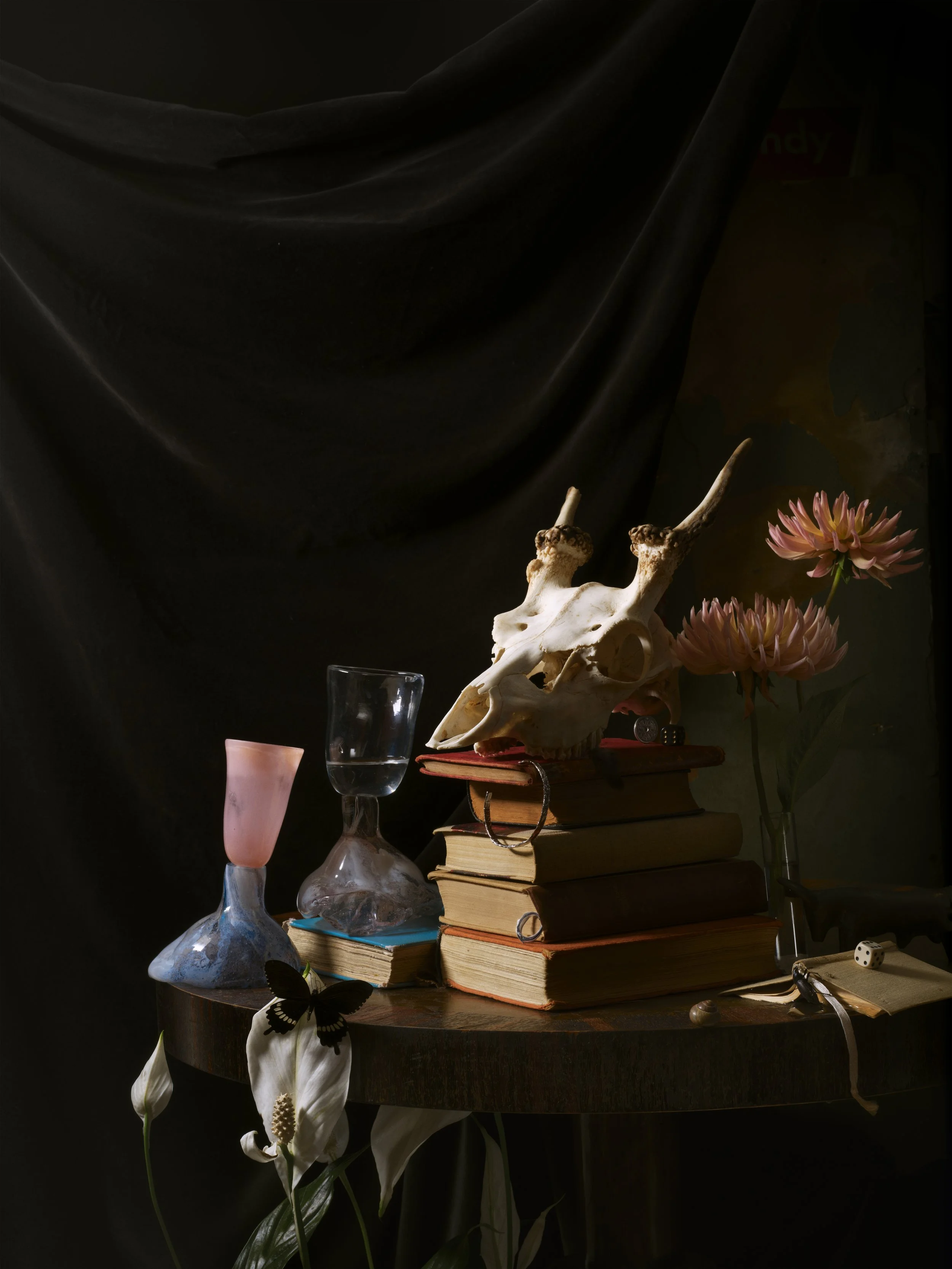 Vanitas project, #3