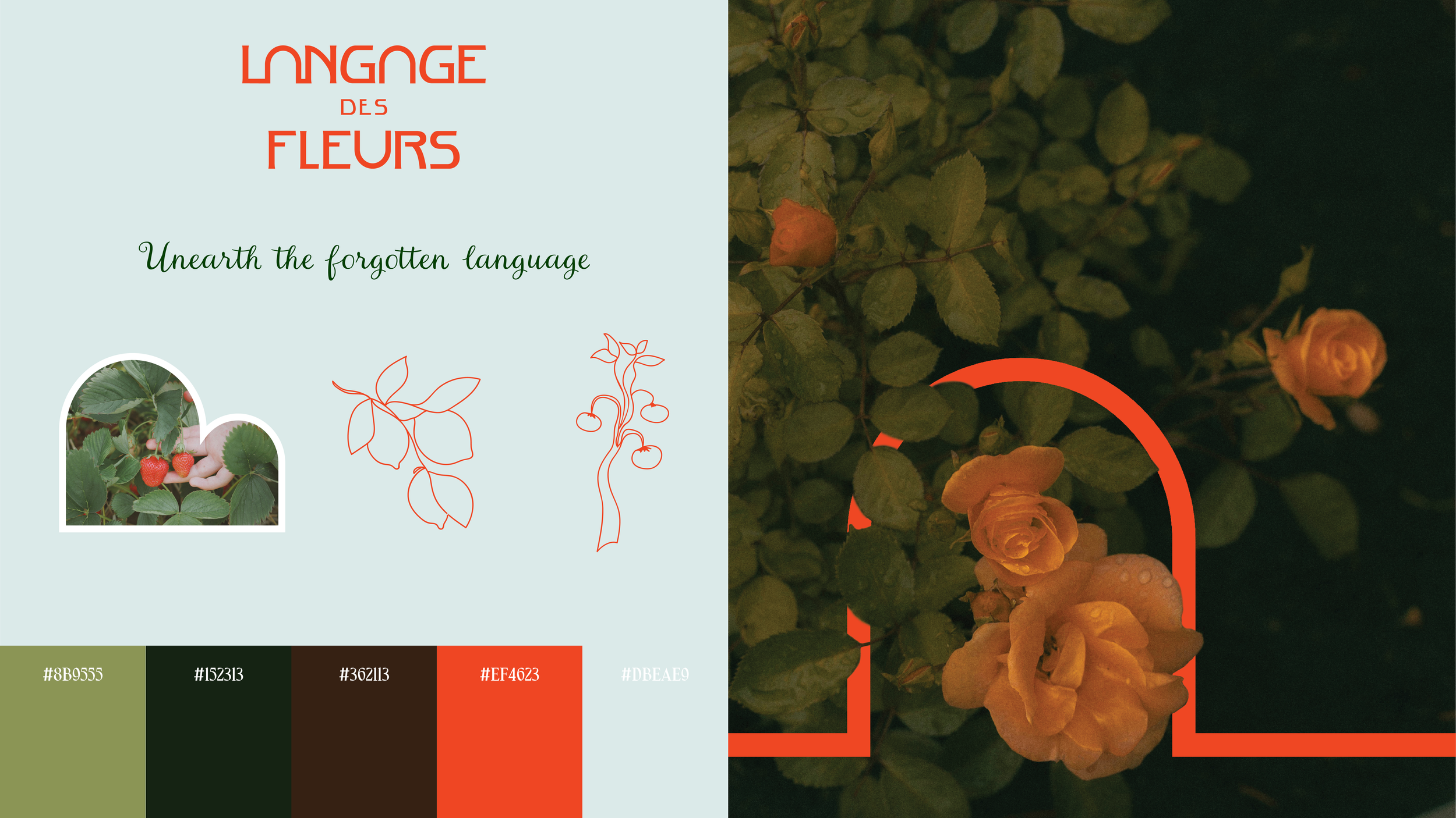 Portfolio_V13.png