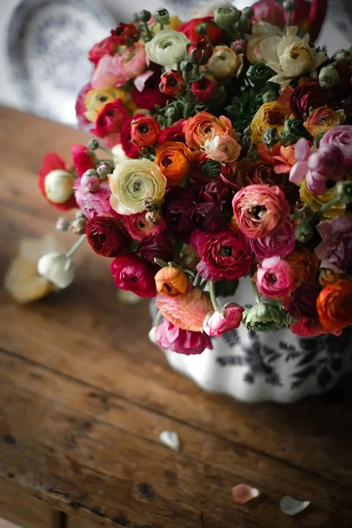 A colorful bouquet of ranunculus flowers in a floral-patterned vase on a wooden table.