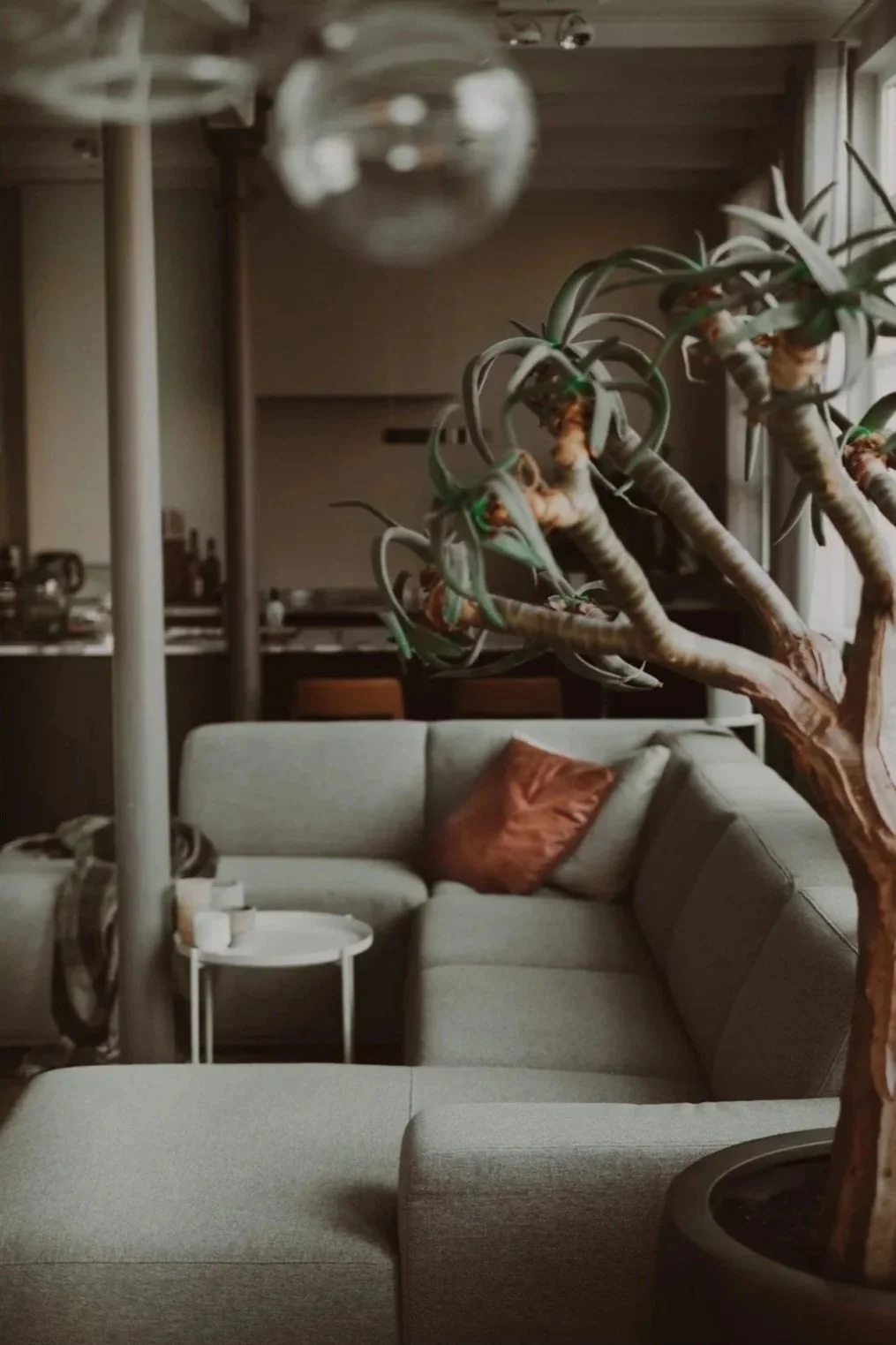 Living room with a large potted plant, a gray sectional sofa with throw pillows, and a small white side table with candles.