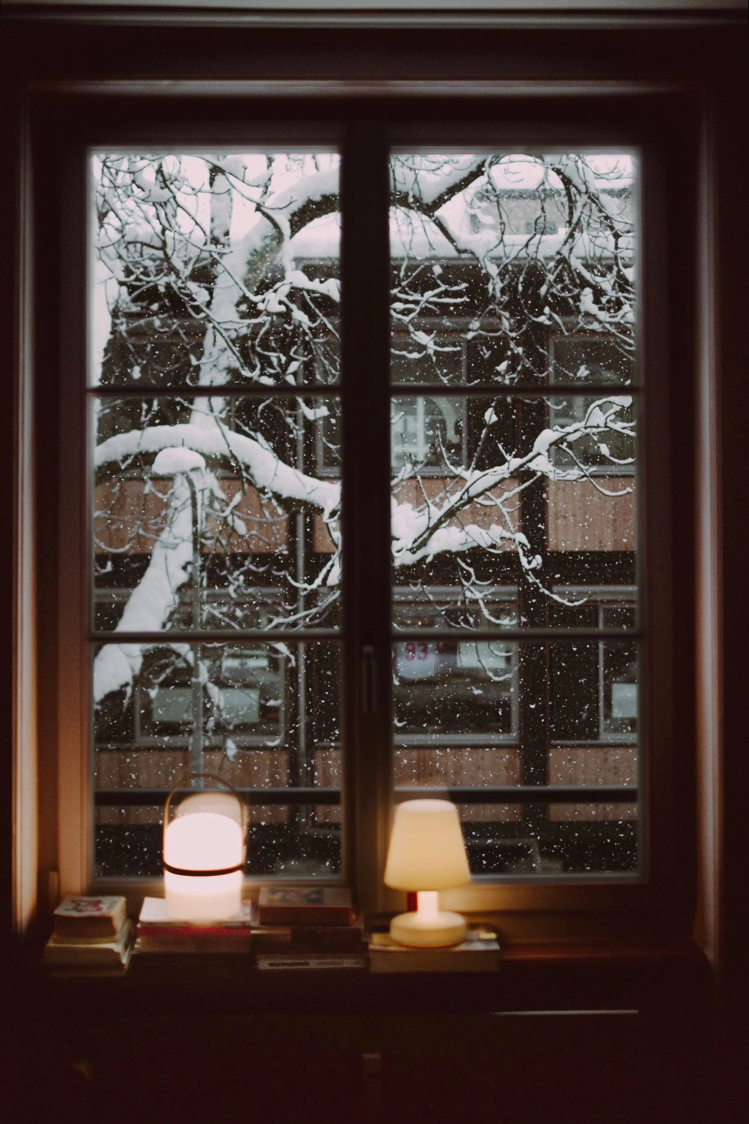 View through a window showing a snow-covered tree outside, with books and a small table lamp on a windowsill inside.