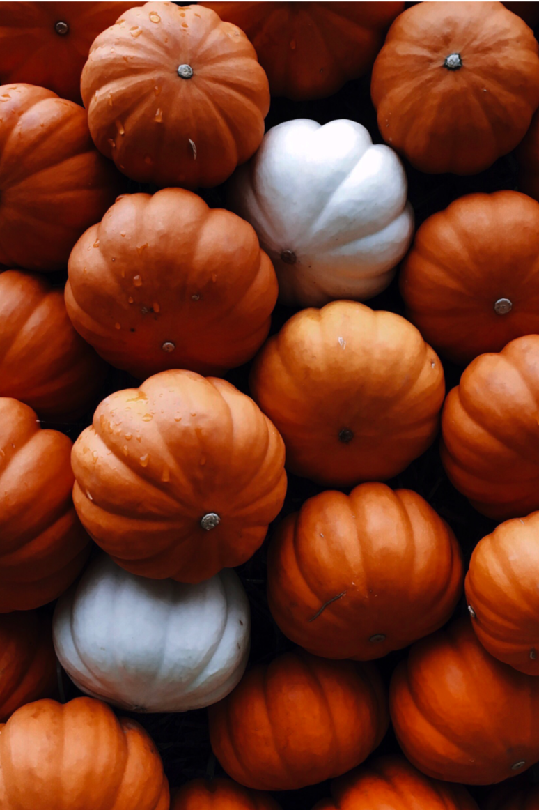 A collection of orange pumpkins with a few white pumpkins mixed in.