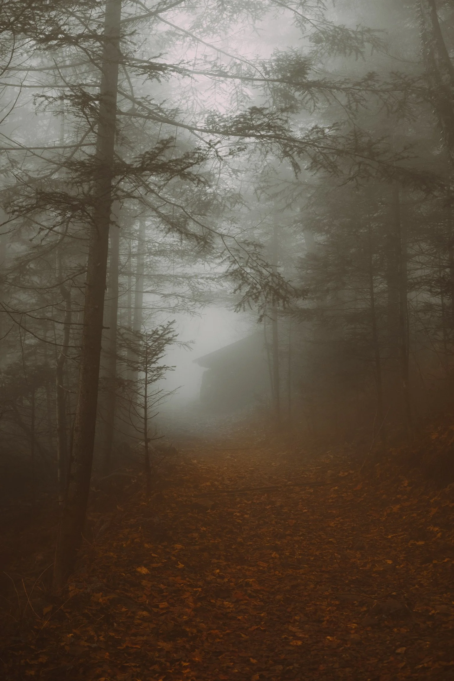 2020-07-04 21.53.00.JPG