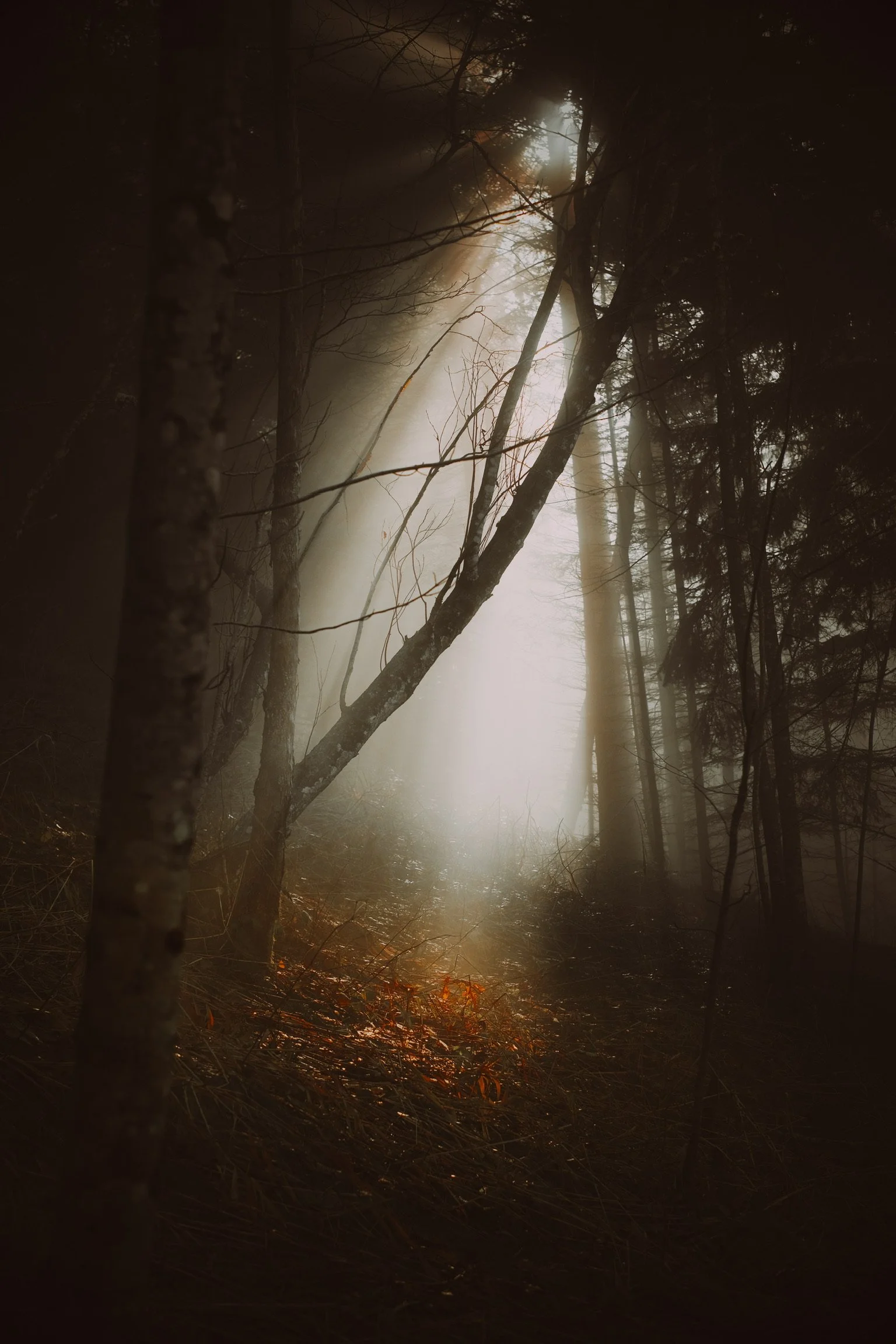 2020-07-04 21.25.47.JPG