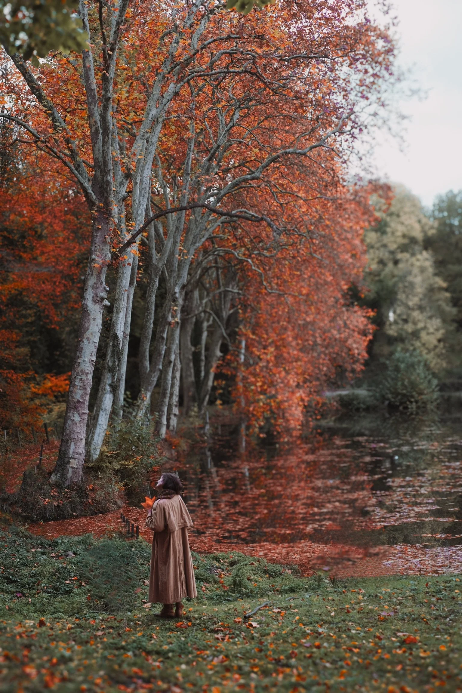 2020-05-21 16.05.51.JPG