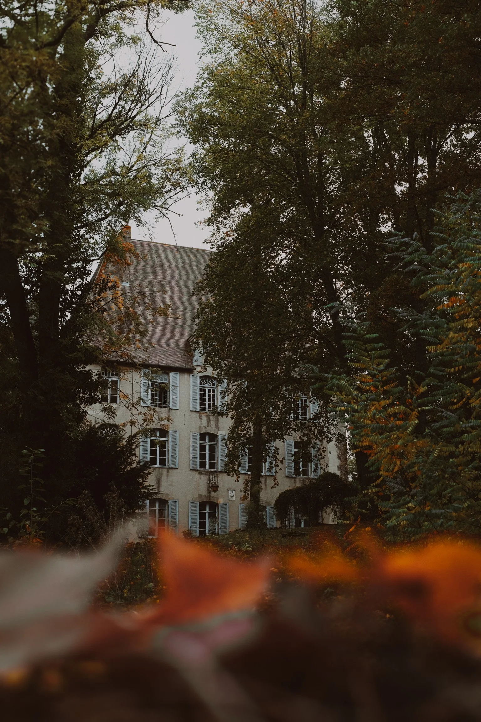 2020-05-21 15.57.53.JPG