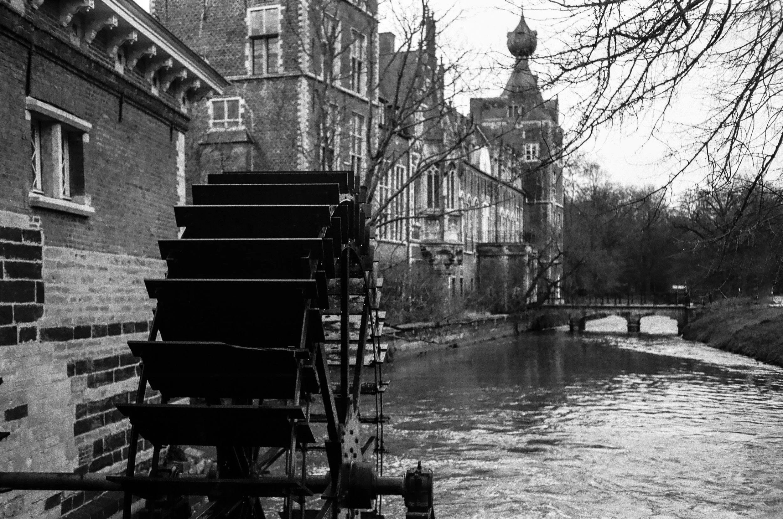 R42_IlfordPF4125_R35SE_16-Editar.jpg