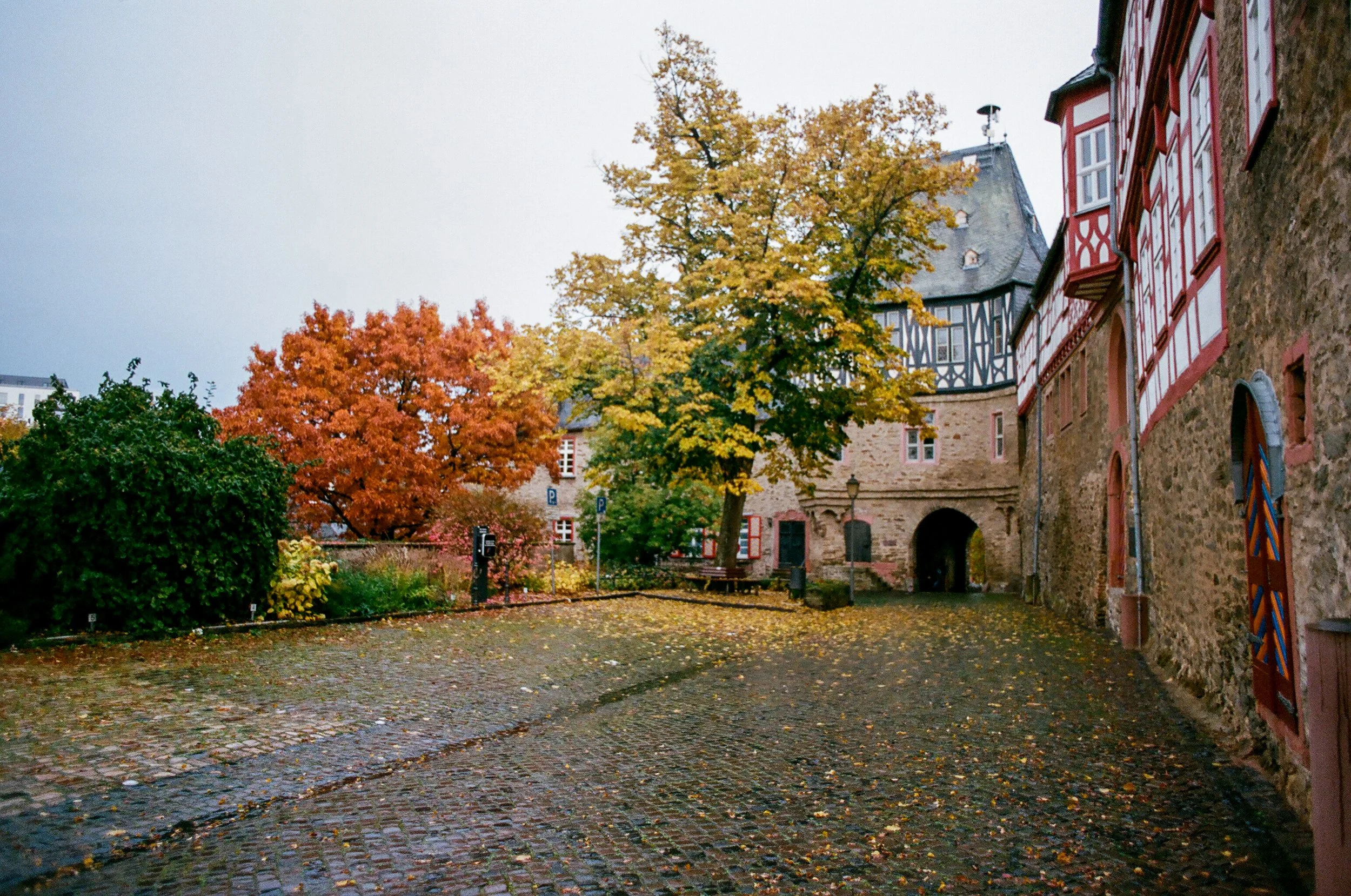 R35_Portra400_FM2_27.jpg