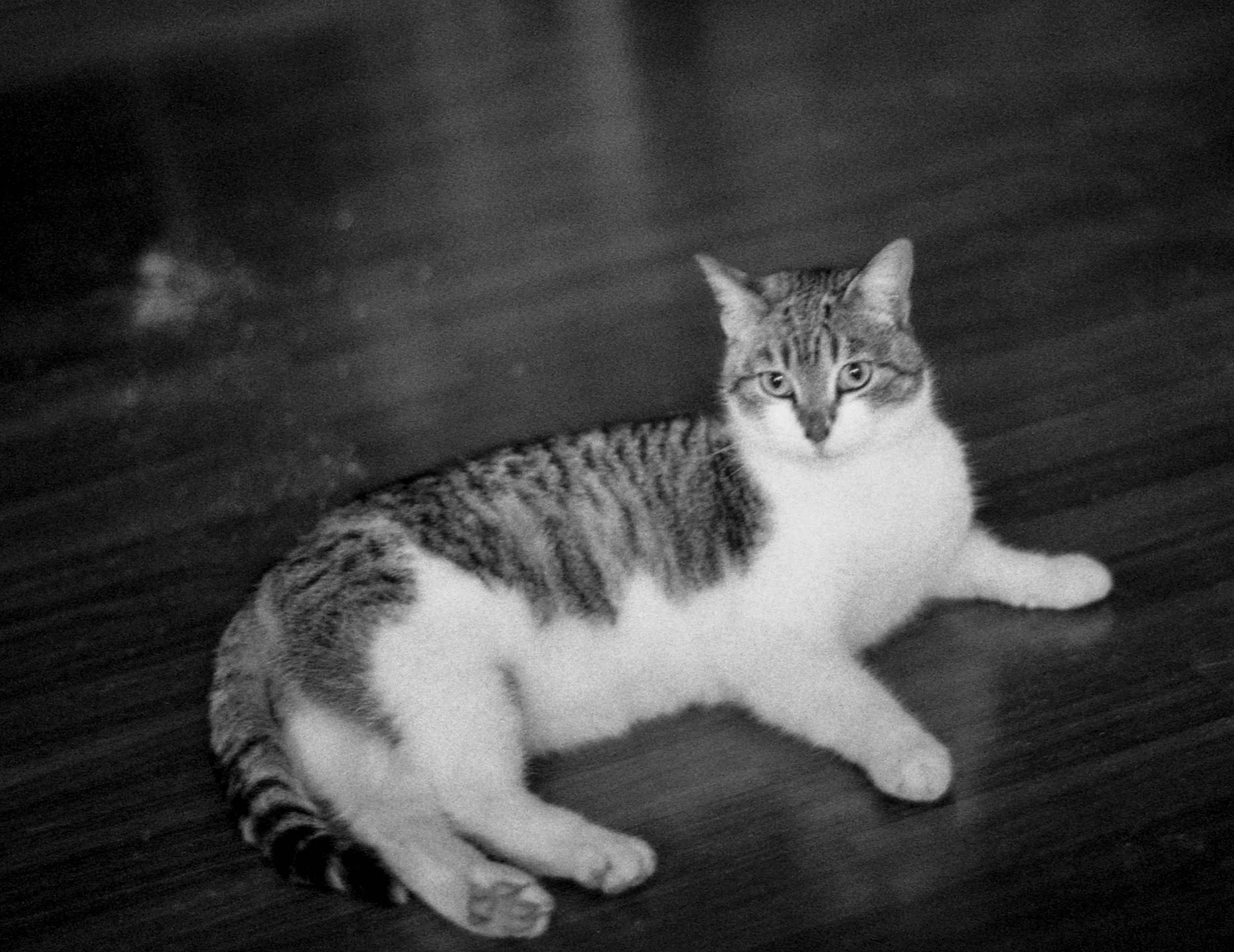 R19_PAN400_FM1029-Editar.jpg