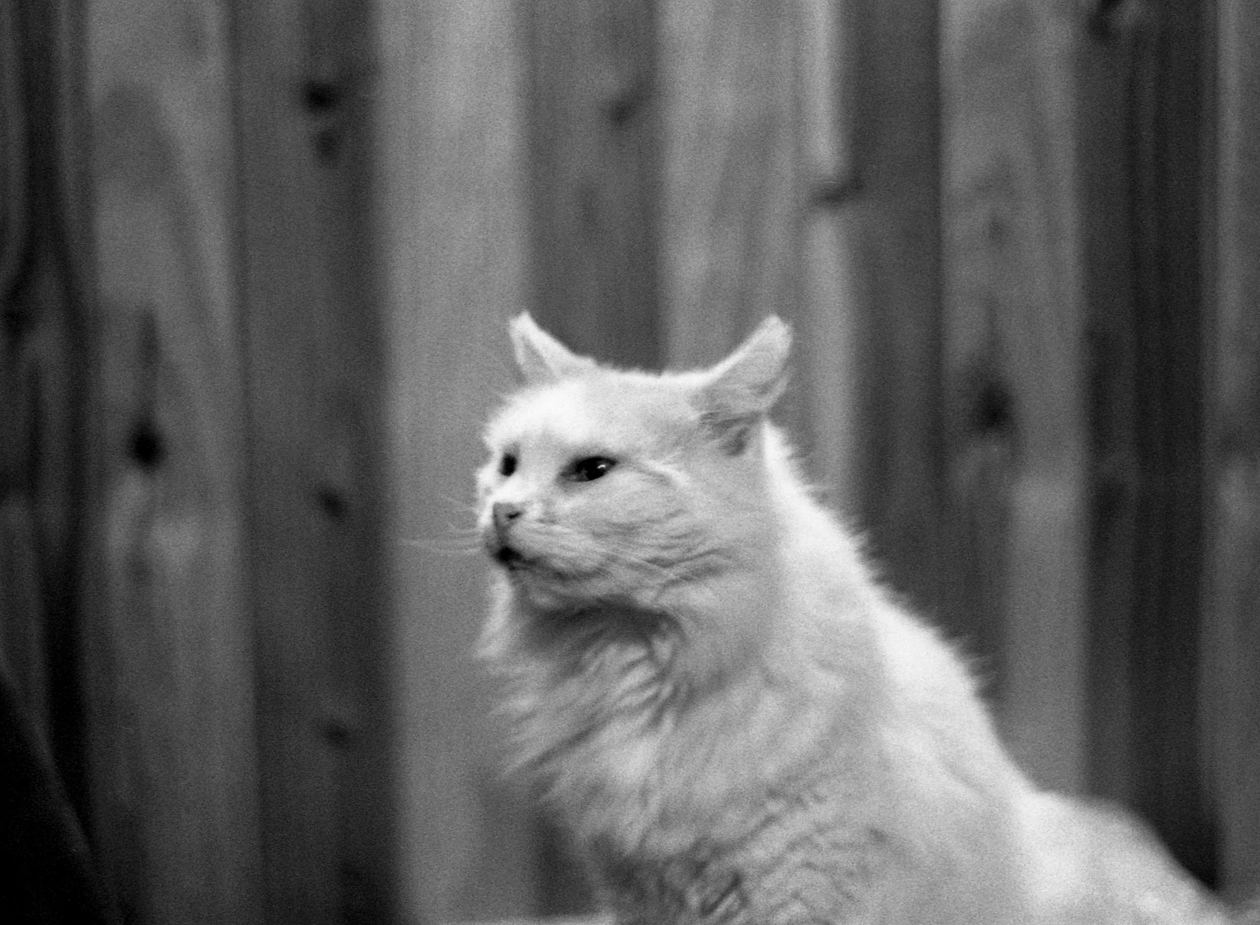R19_PAN400_FM1031-Editar.jpg