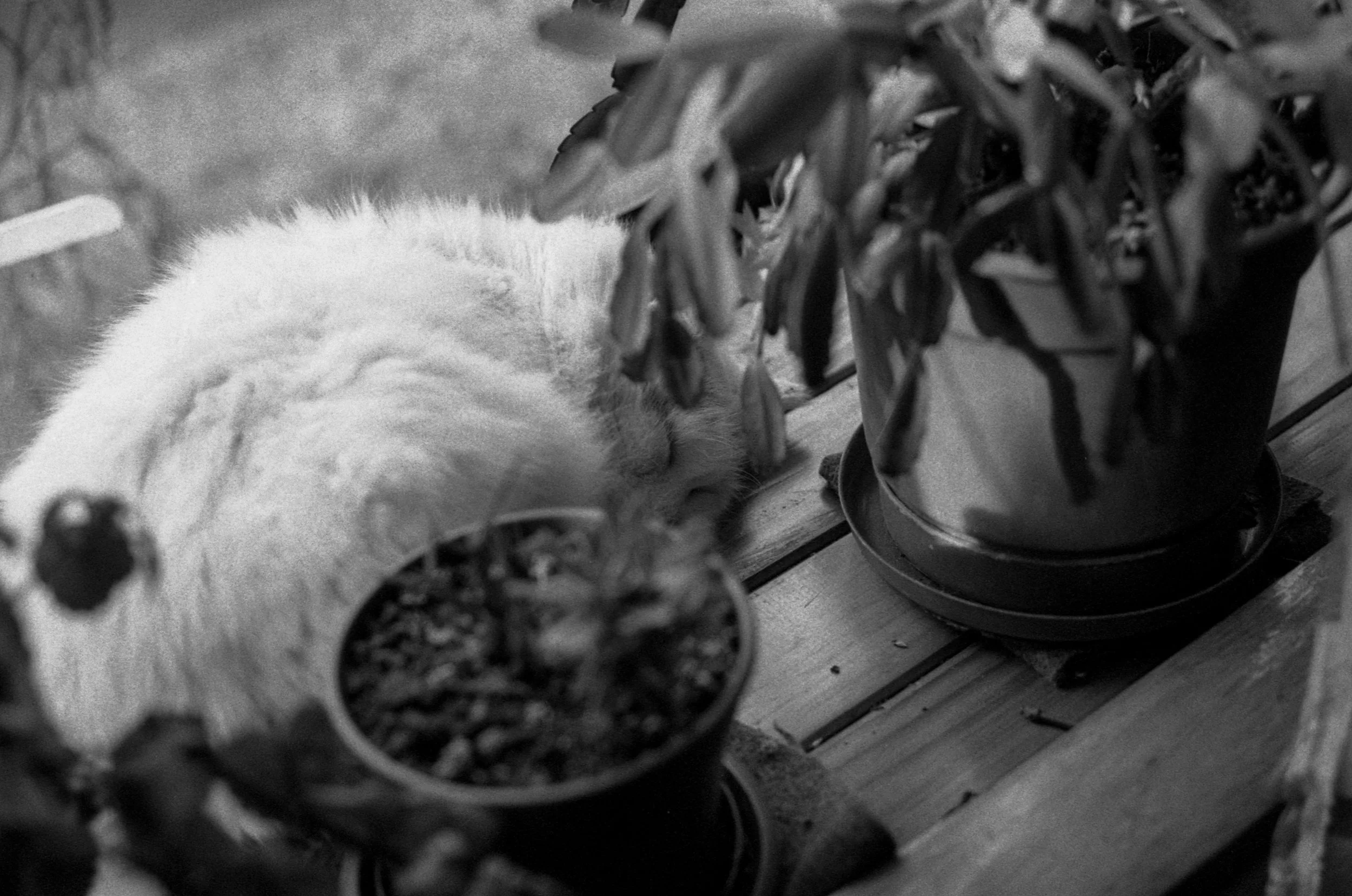 R19_PAN400_FM1032-Editar.jpg