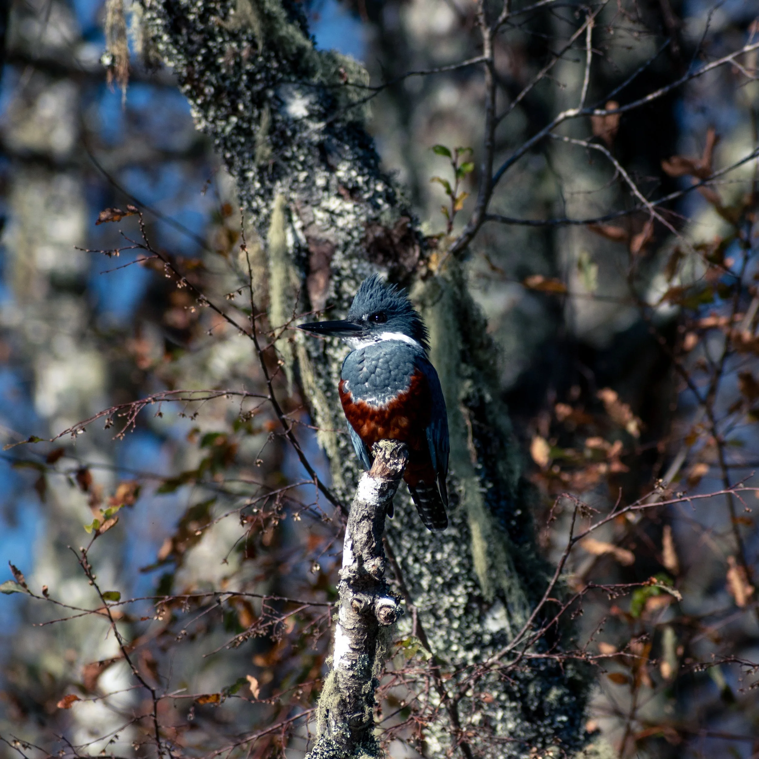 DSC_8193.jpg