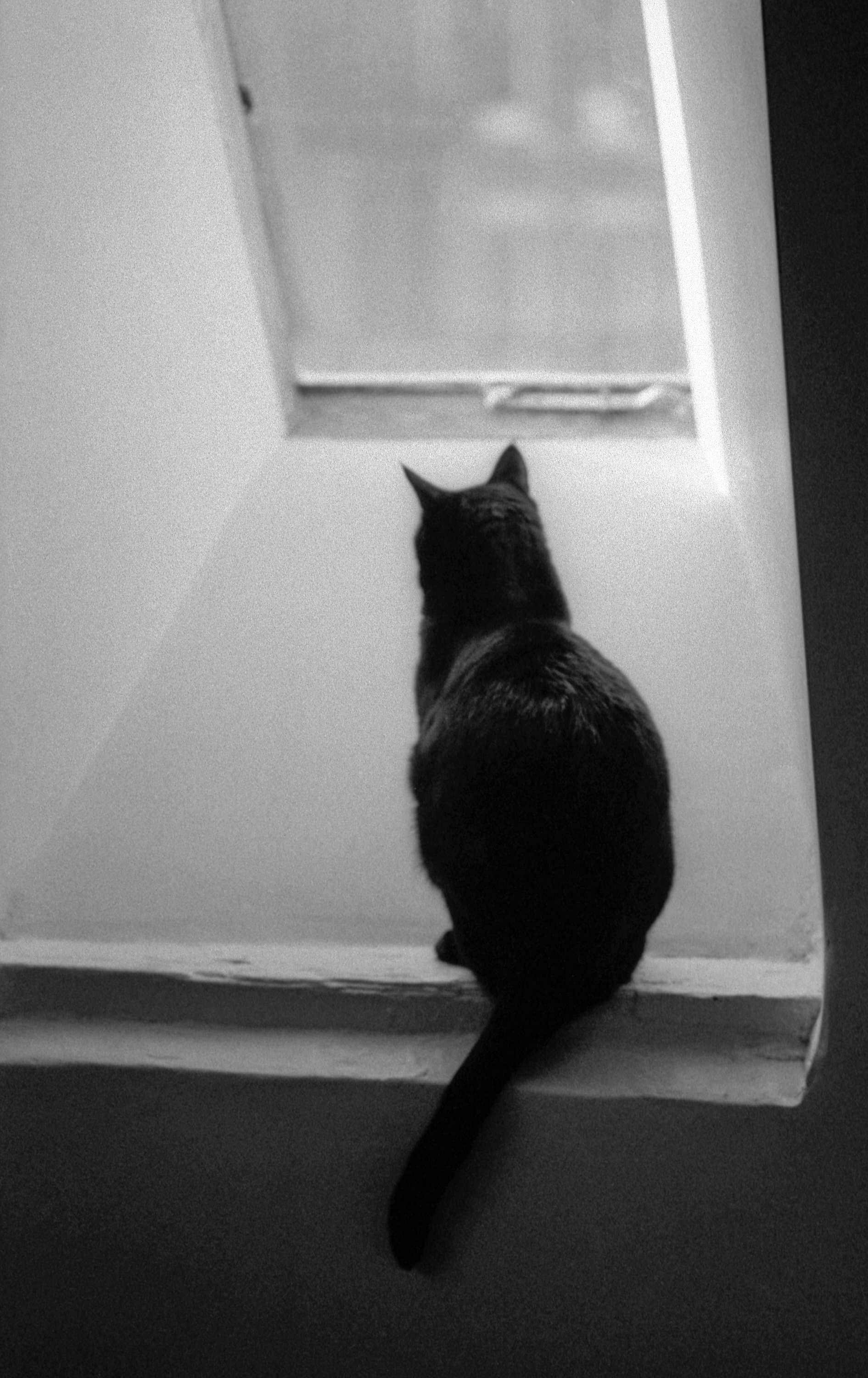 R86_HP5_F2_ 23-Editar.jpg