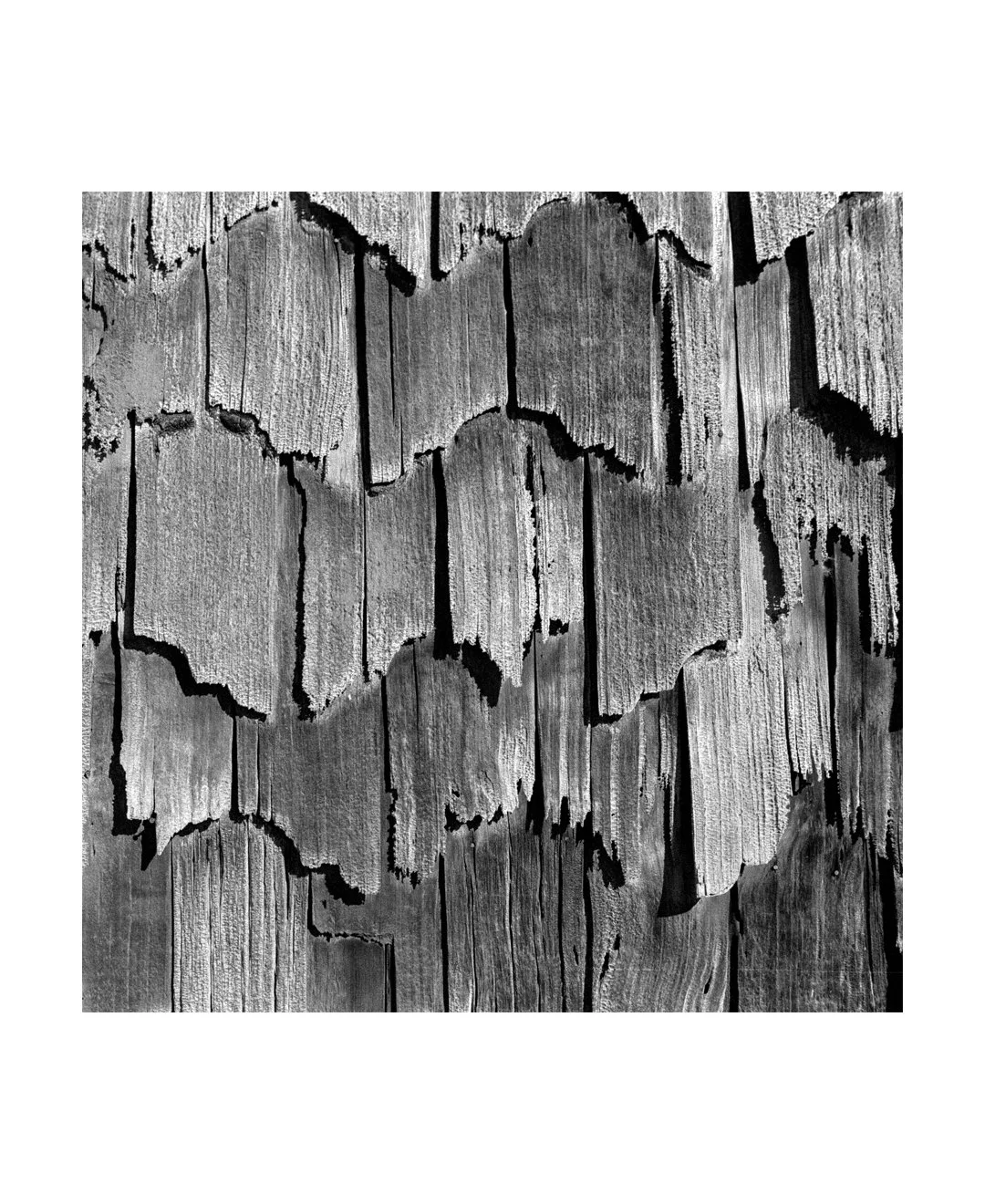 Sin título-8.jpg