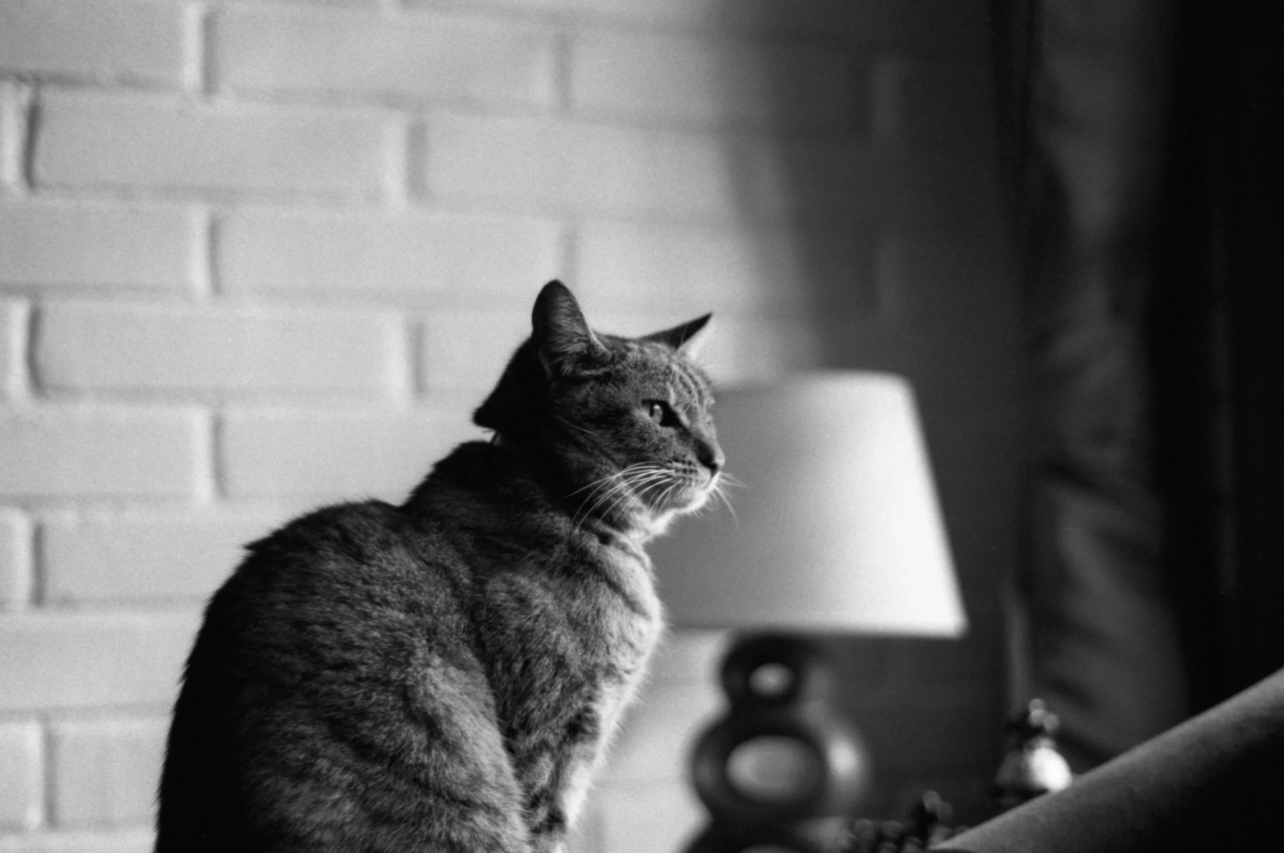 R17_Pan400_FM10_34-Editar.jpg