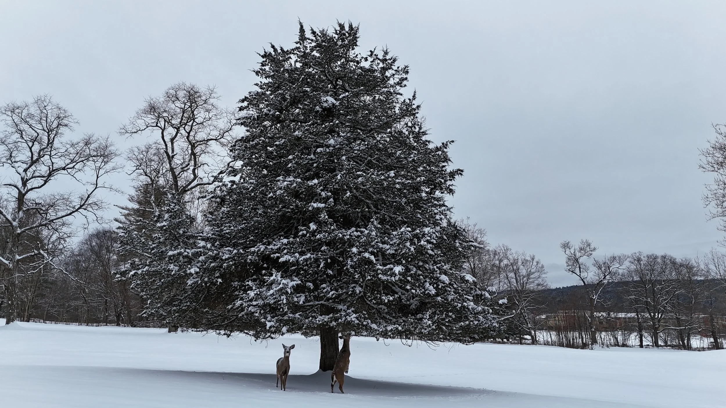 _ DJI_20251227145244_0566_D.JPG