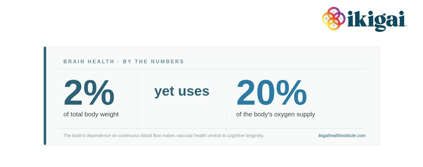 the brain is 2% of total body weight yet uses 20% of the body's oxygen supply - vas