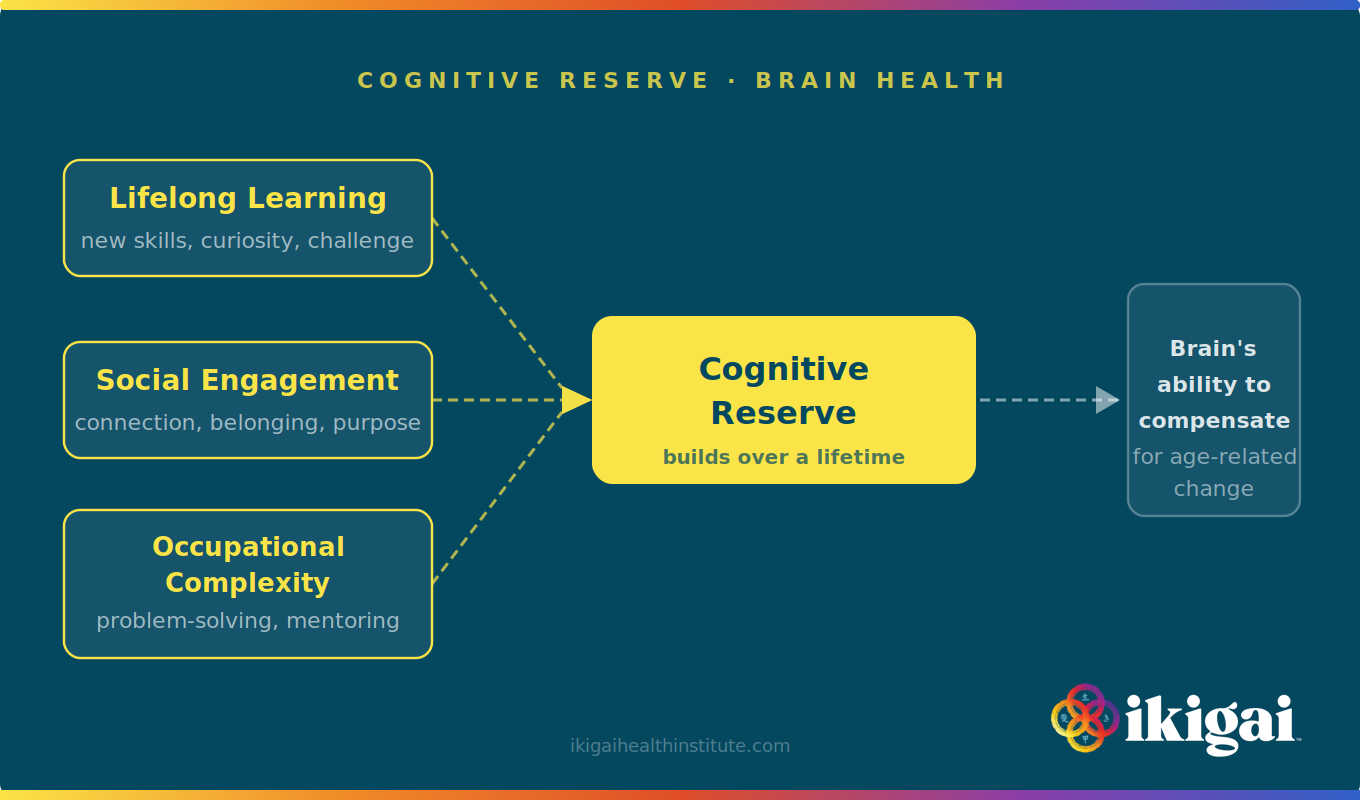 cognitive reserve diagram