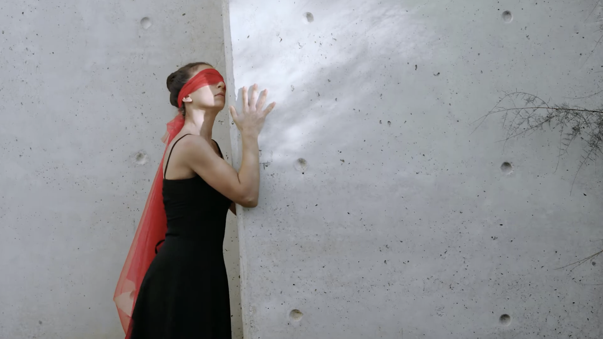 Force de La Femme