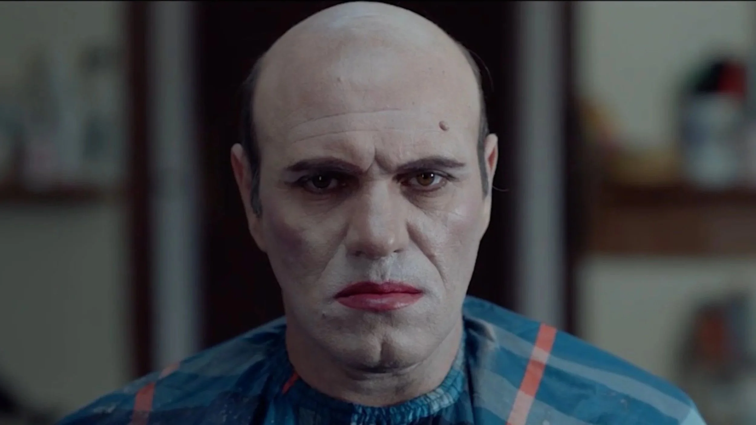 Snake milkers and the miserable lady premiers at Rotterdam