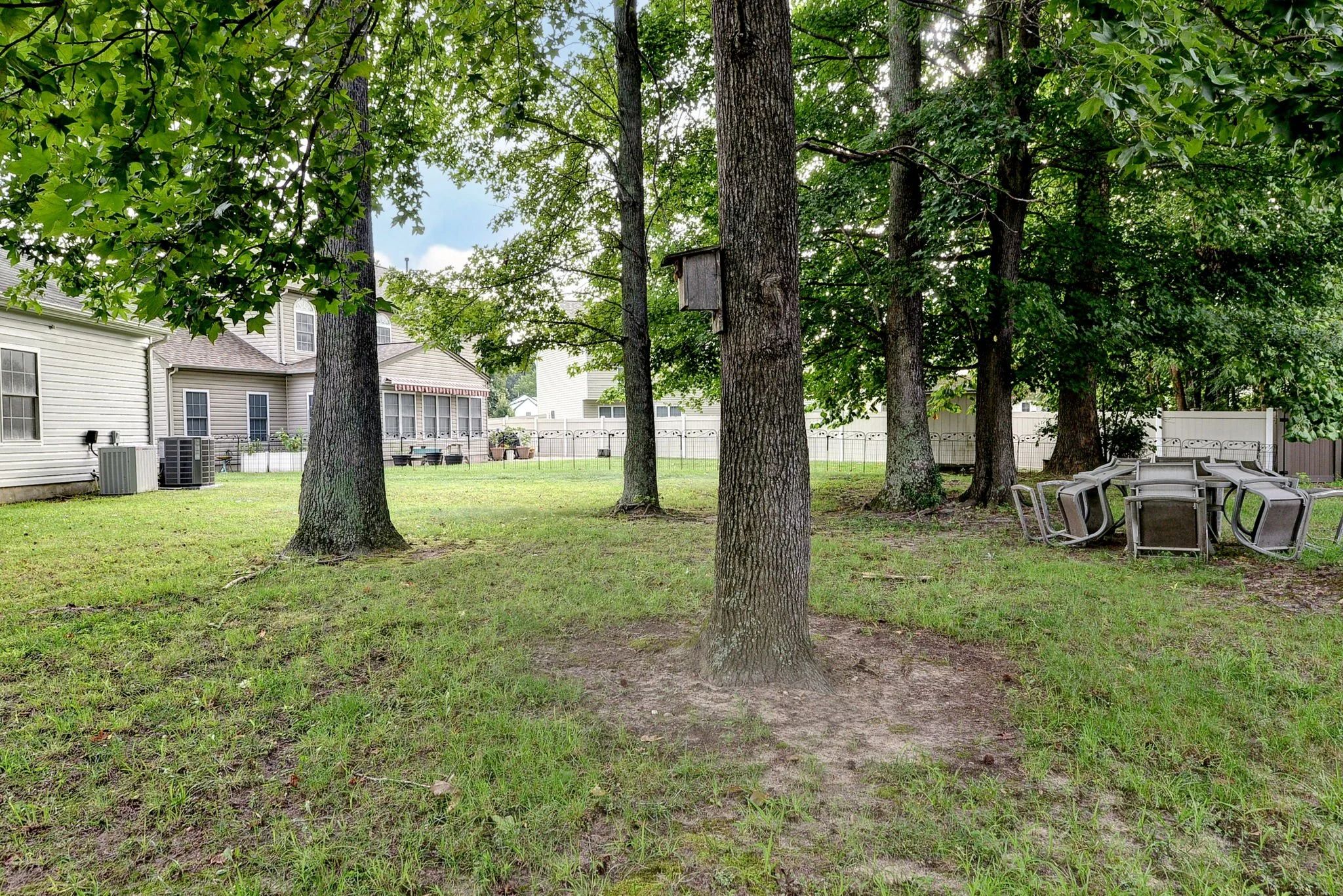 A backyard with tall trees, green grass, patio furniture, and houses in the background.