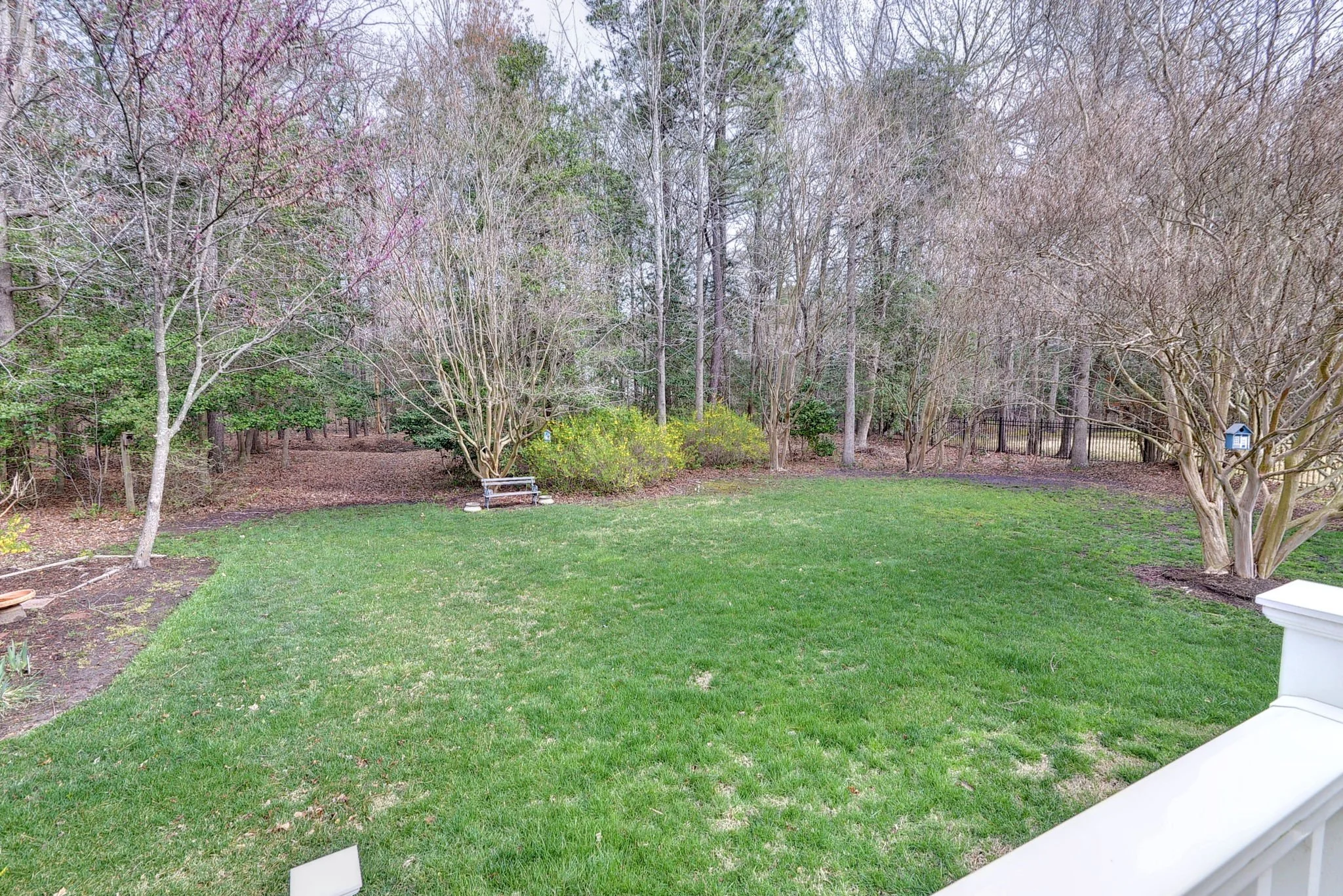 View of a backyard with green grass, trees, bushes, a white wooden railing, a bench, and a fence in the background.