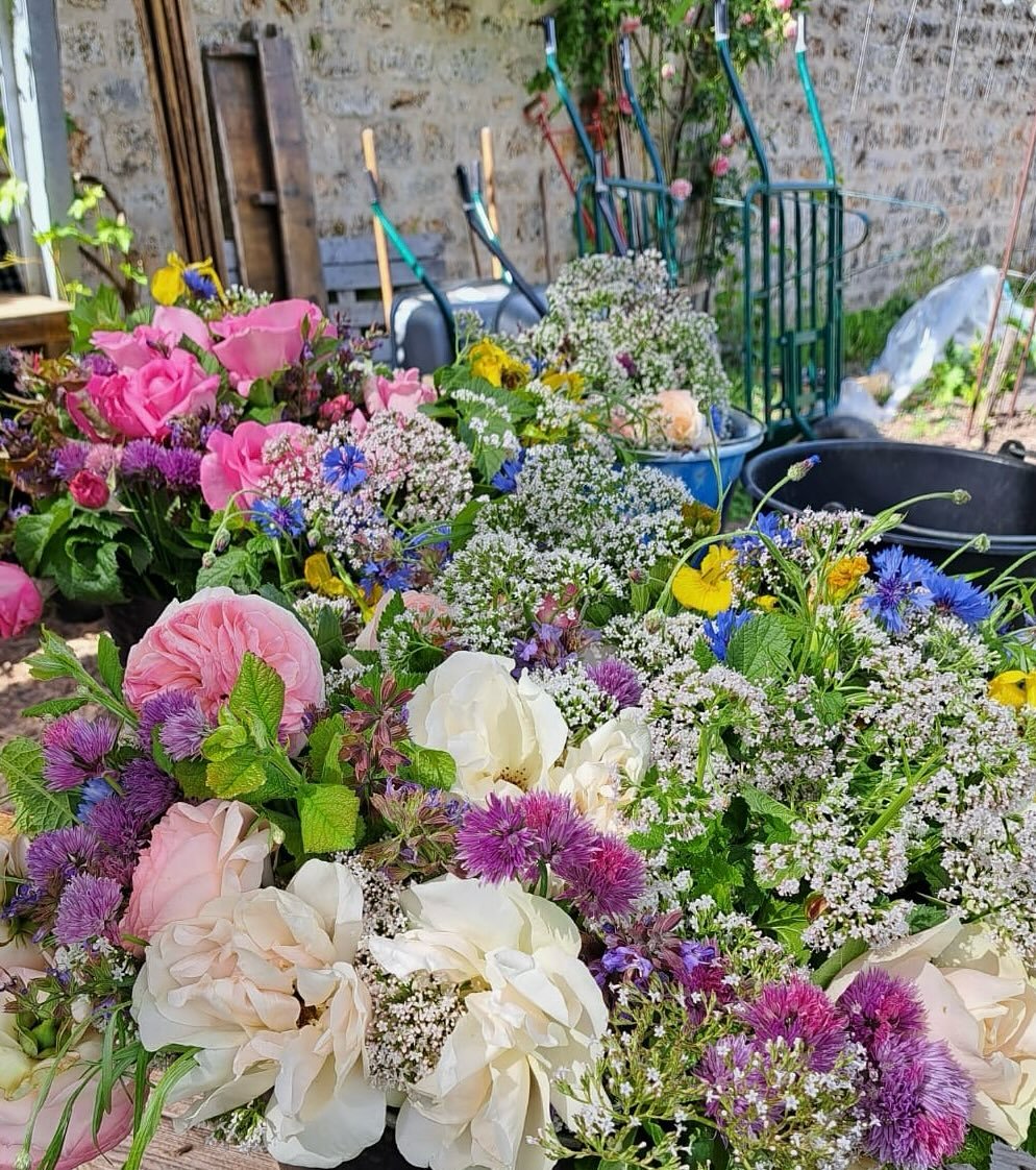 Quel plaisir pour tous nos sens &agrave; chaque nouvelle saison de voir &eacute;clore cette vie multicolore dans la ferme. 

Tr&egrave;s fiers et heureux de partager cette abondance de couleurs et de saveurs &agrave; nos diff&eacute;rents publics lor