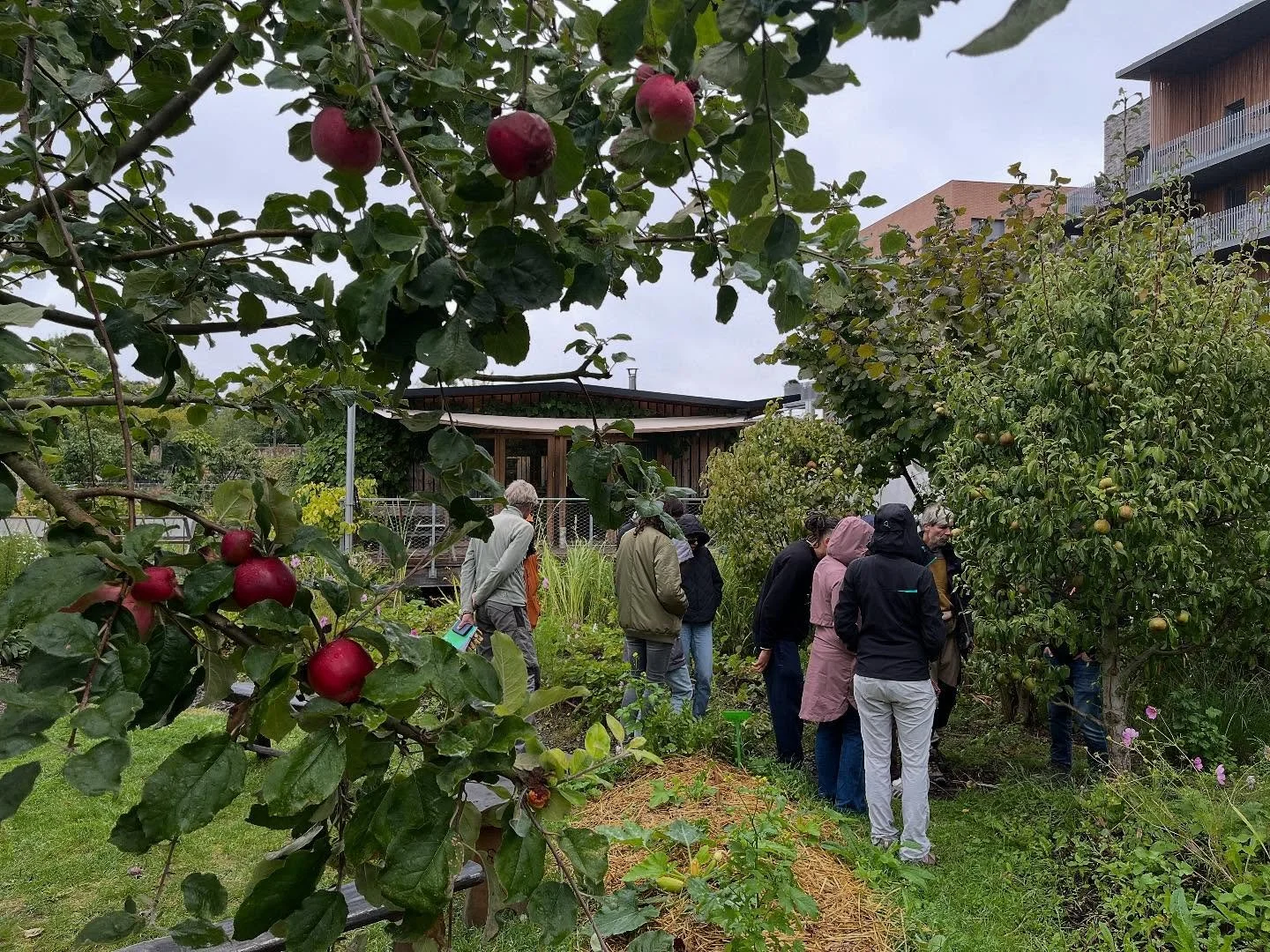 Encore une belle journ&eacute;e d&rsquo;initiation &agrave; la permaculture hier dans notre belle microferme au c&oelig;ur de Versailles. 

Une journ&eacute;e anim&eacute;e par Gilles Degroote concepteur du projet et responsable de la ferme, jardinie