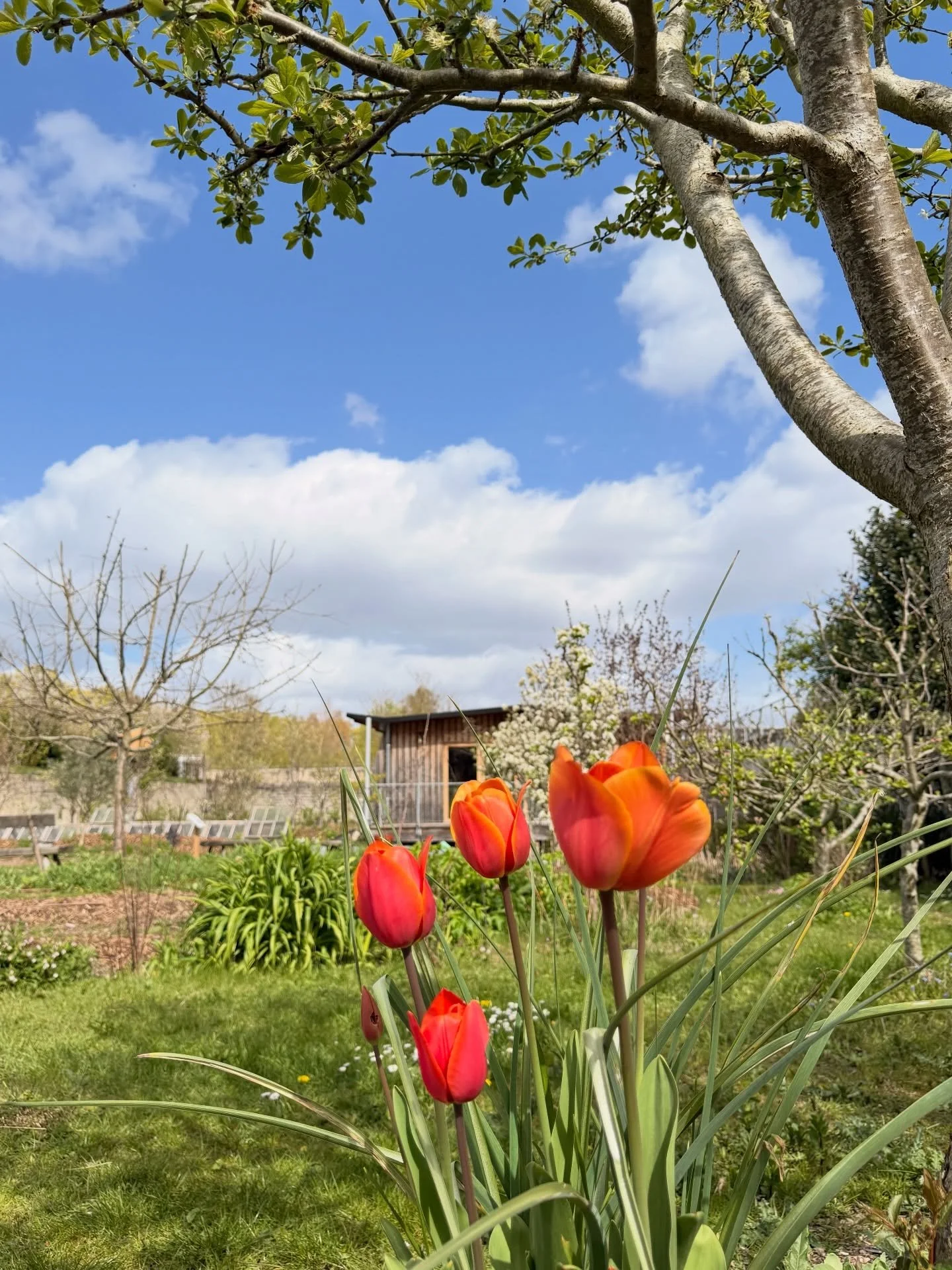 Le printemps s&rsquo;installe en douceur&hellip; 
Les fleurs &eacute;closent, les couleurs &eacute;clatent et la nature reprend vie. Ici , la nature inspire, &eacute;duque et rassemble autour de valeurs durables. 

#agroecologie #agriculturedurable #