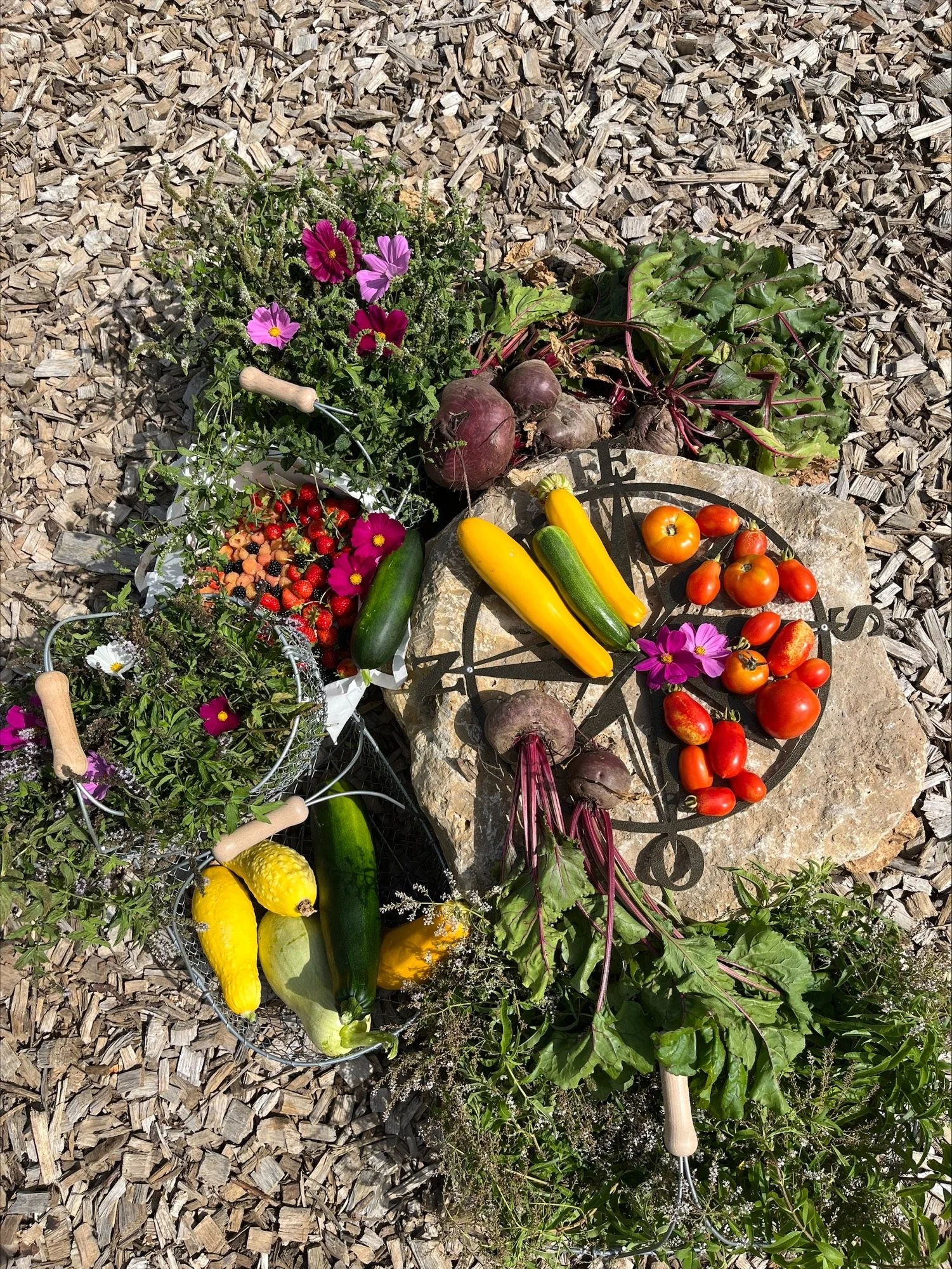 Récolte sept 23.jpeg