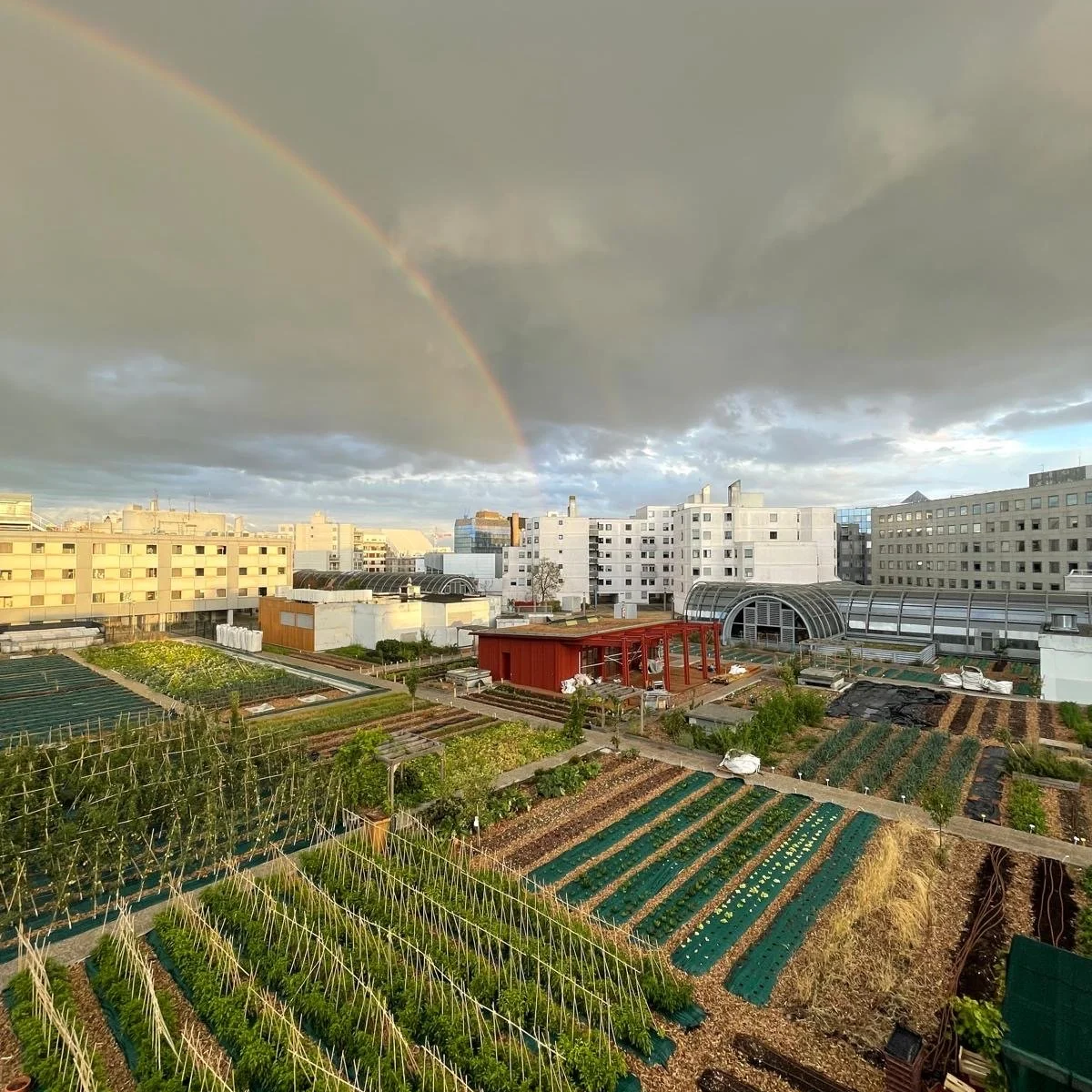 Ferme urbaine sur toiture